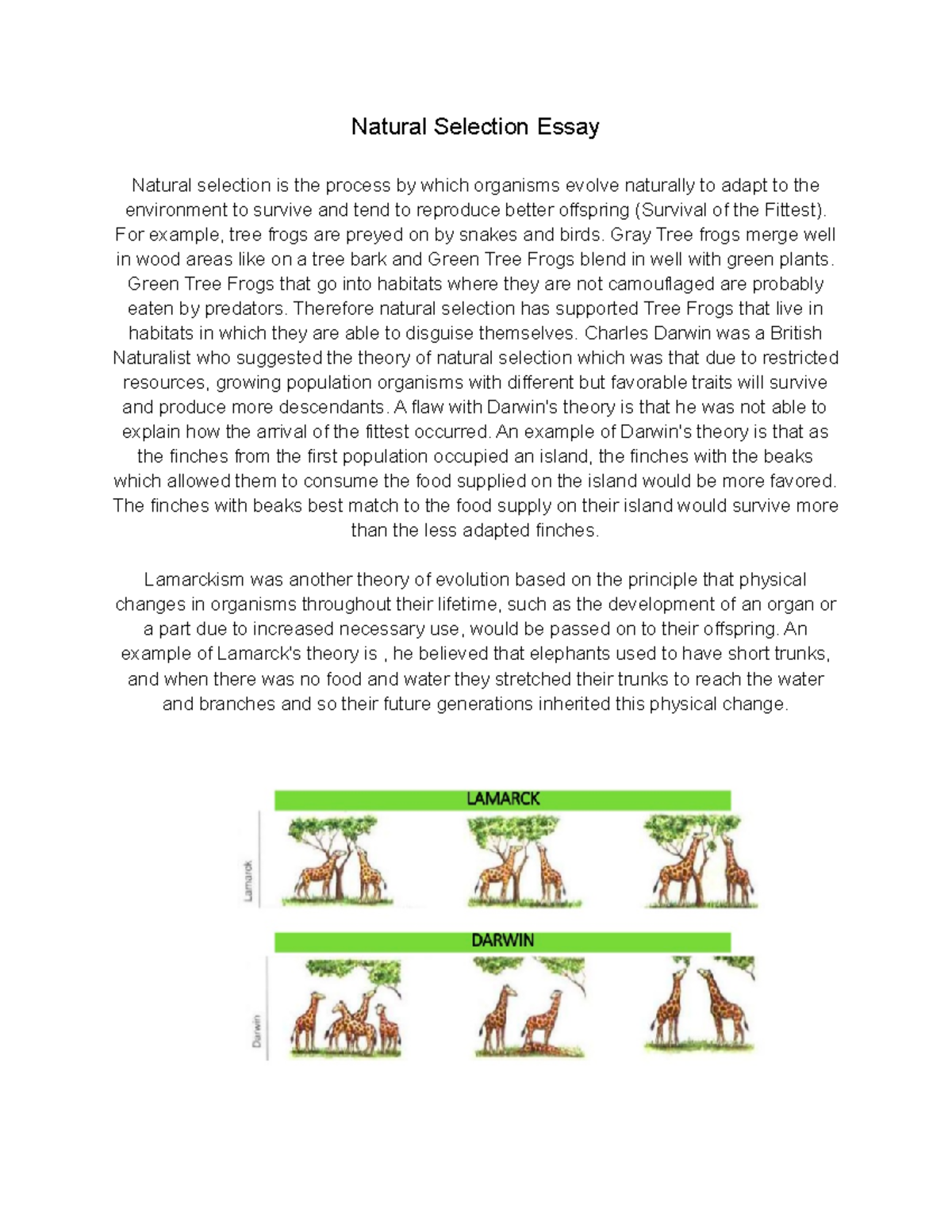 Natural Selection Essay - Natural Selection Essay Natural selection is ...