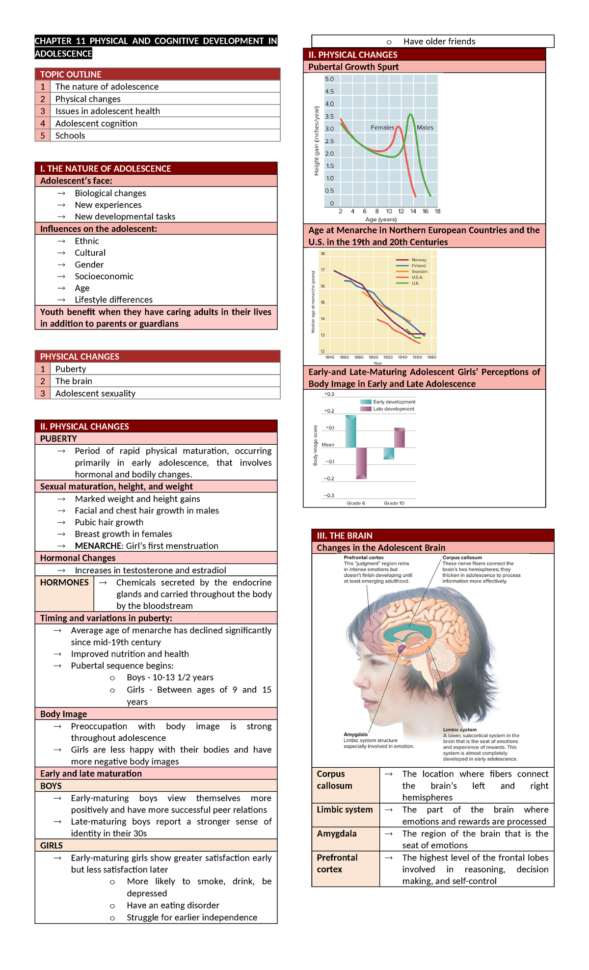 Devpsych Finals Notes - LECTURES - CHAPTER 11 PHYSICAL AND COGNITIVE ...