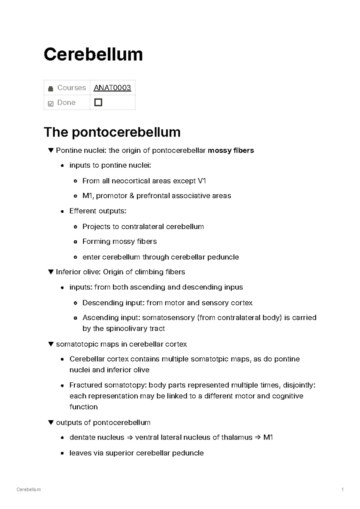 Cerebellum overview and functions: A detailed study of pontocerebellum ...