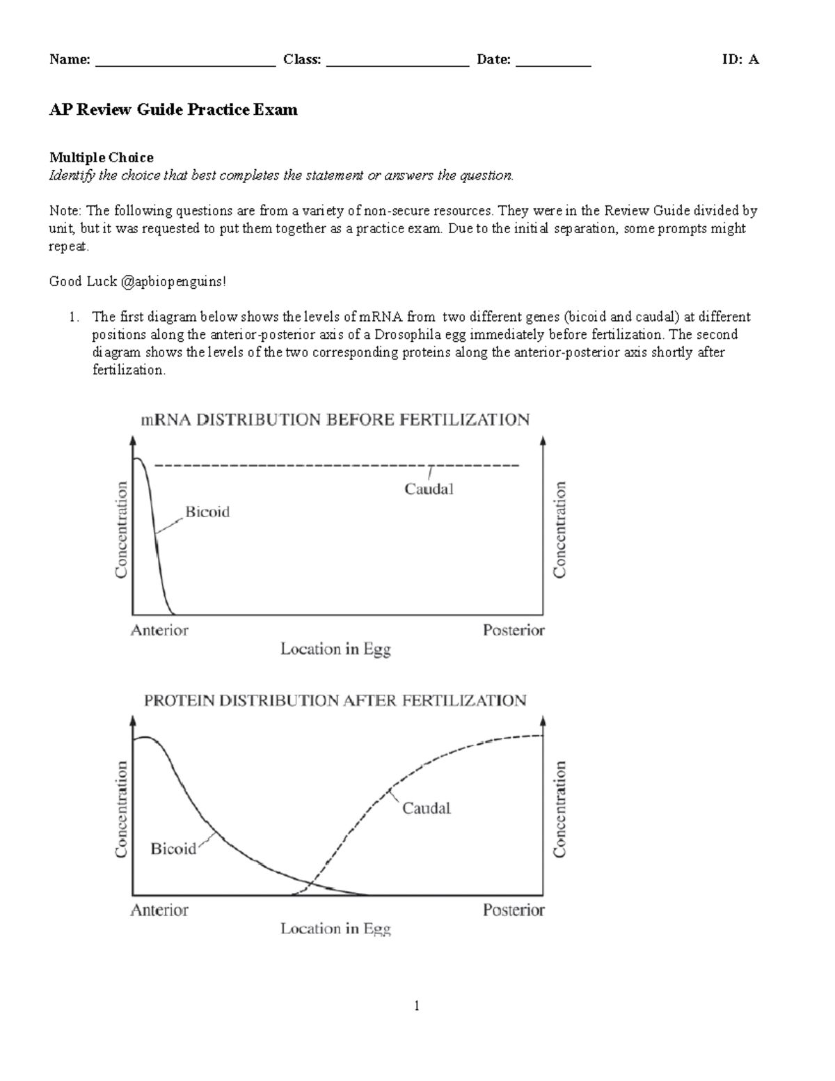 Ap biology review guide practice exam w key 4 - Name ...