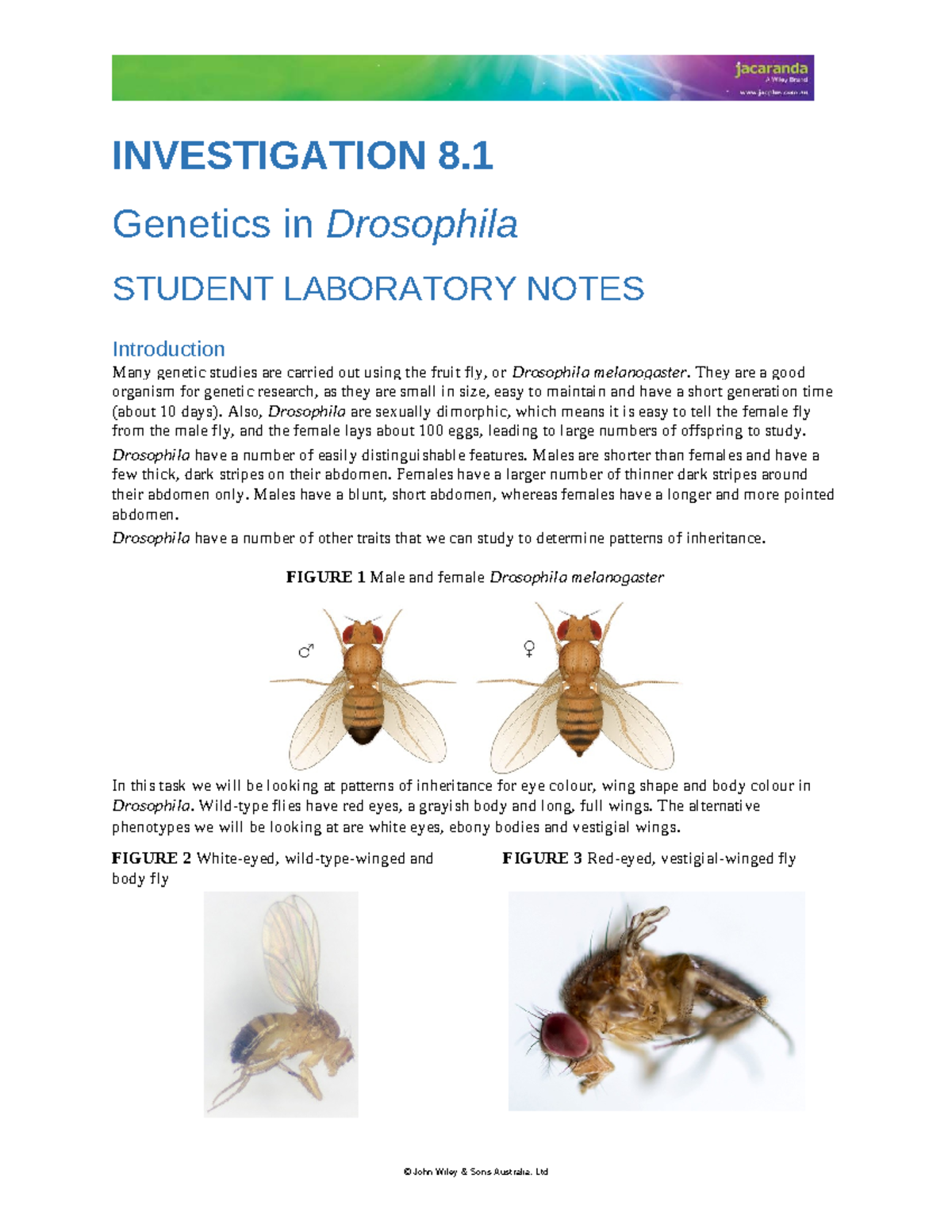 Elog-0832: Genetics in Drosophila - Student Lab Notes on Inheritance ...