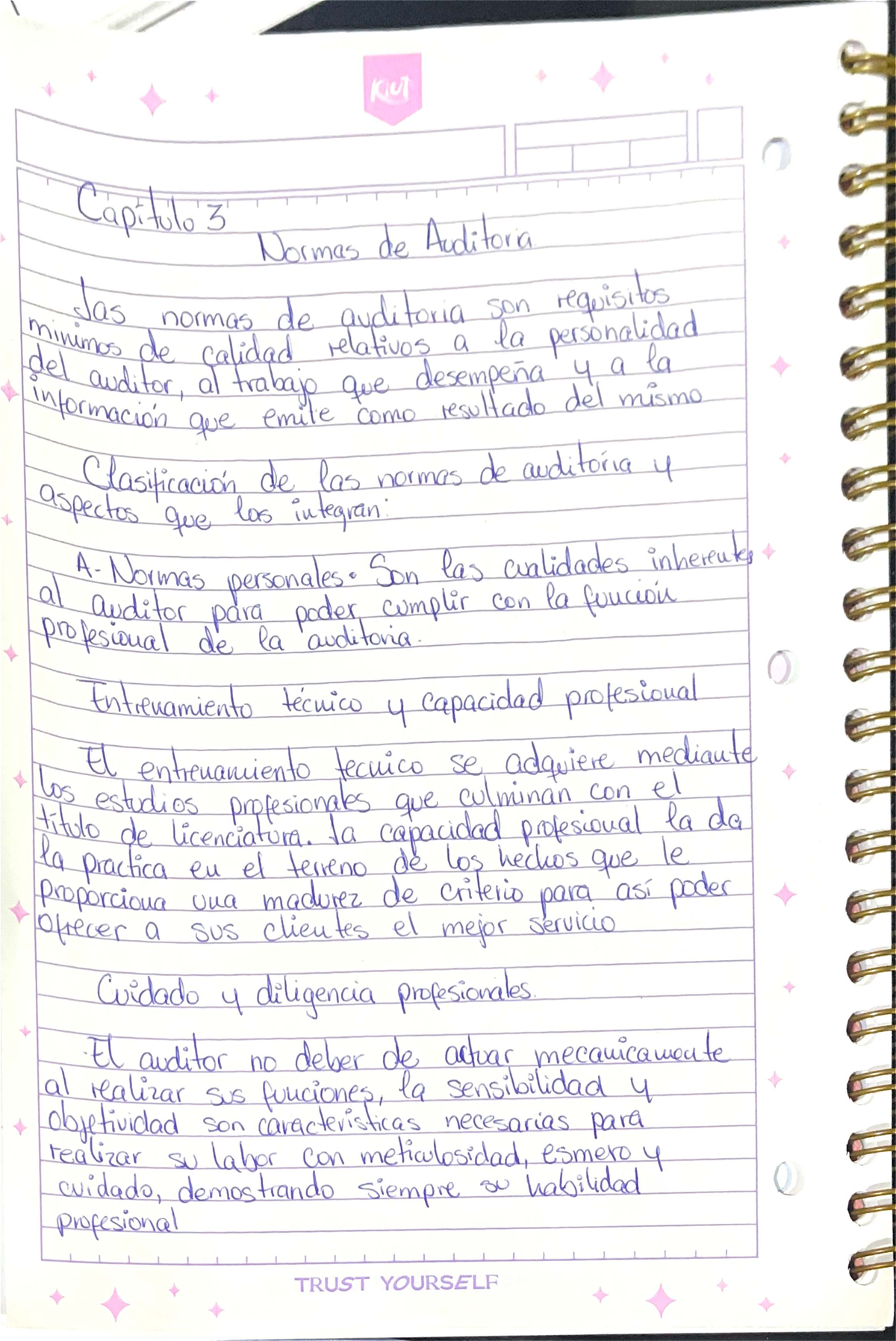 Capítulo 3: Normas de Auditoría y Ejecución del Trabajo - Studocu
