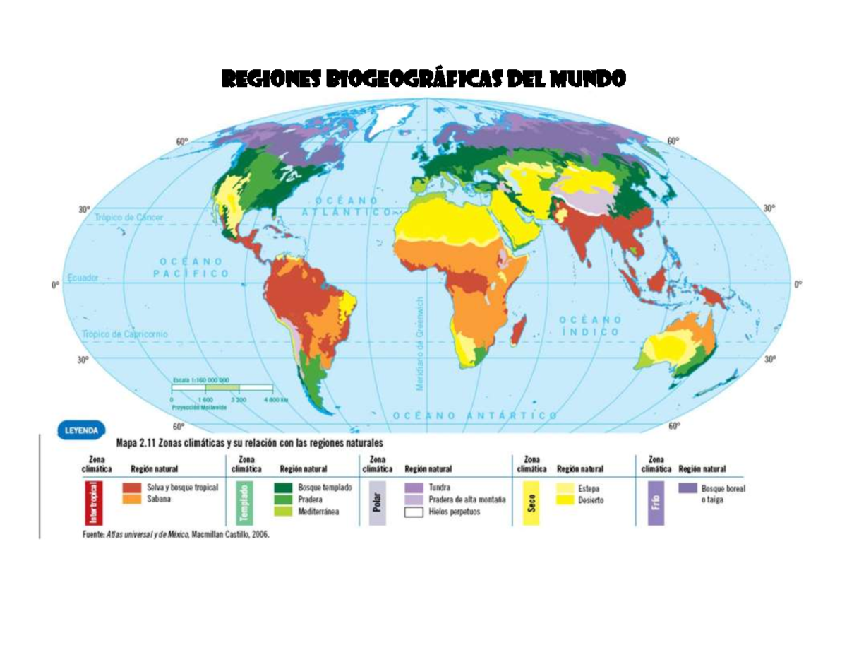 Biomas y Regiones Biogeográficas del Mundo - Studocu