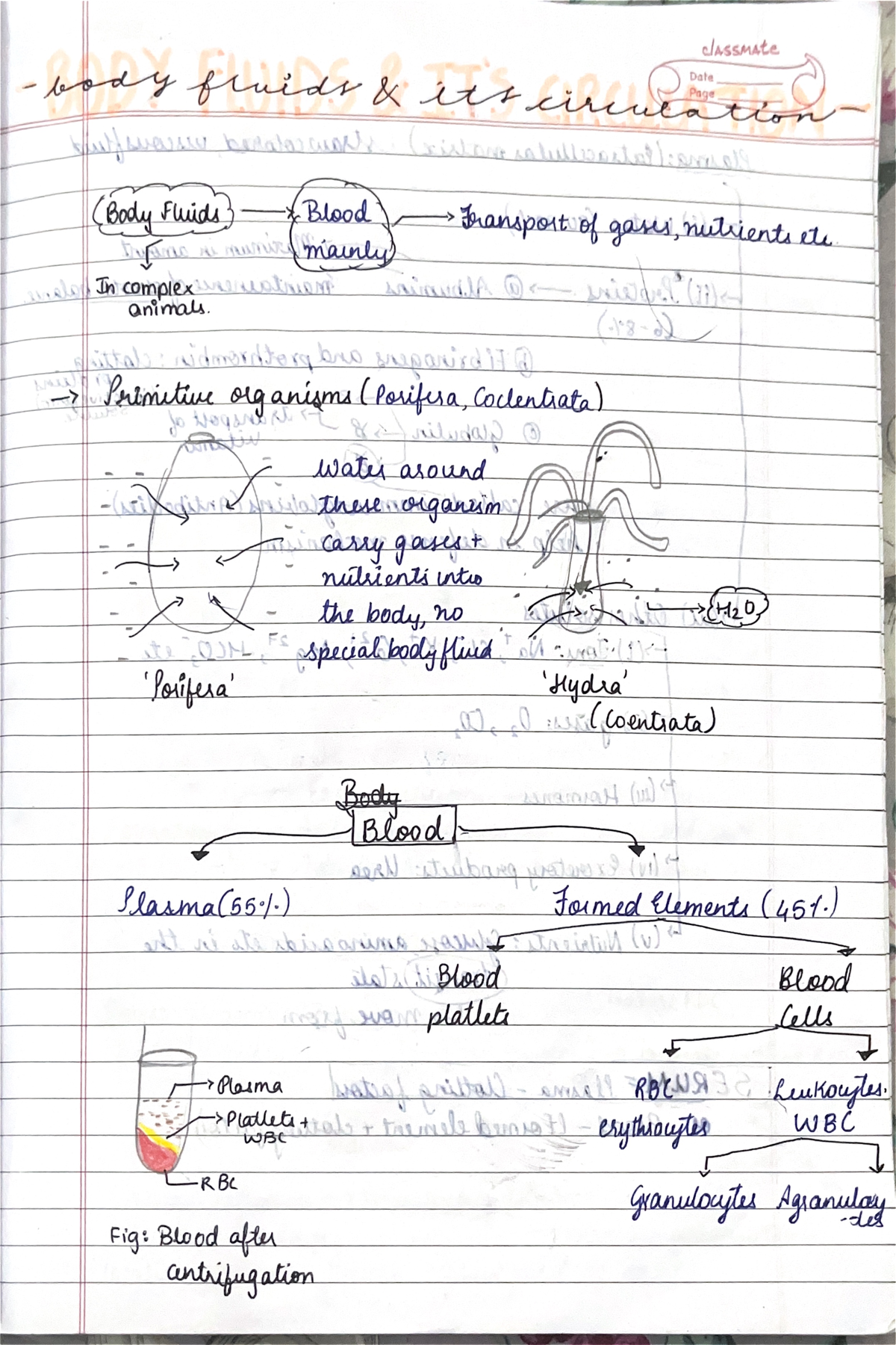 Body fluids and circulation - classmate fluids its circuration Date ...