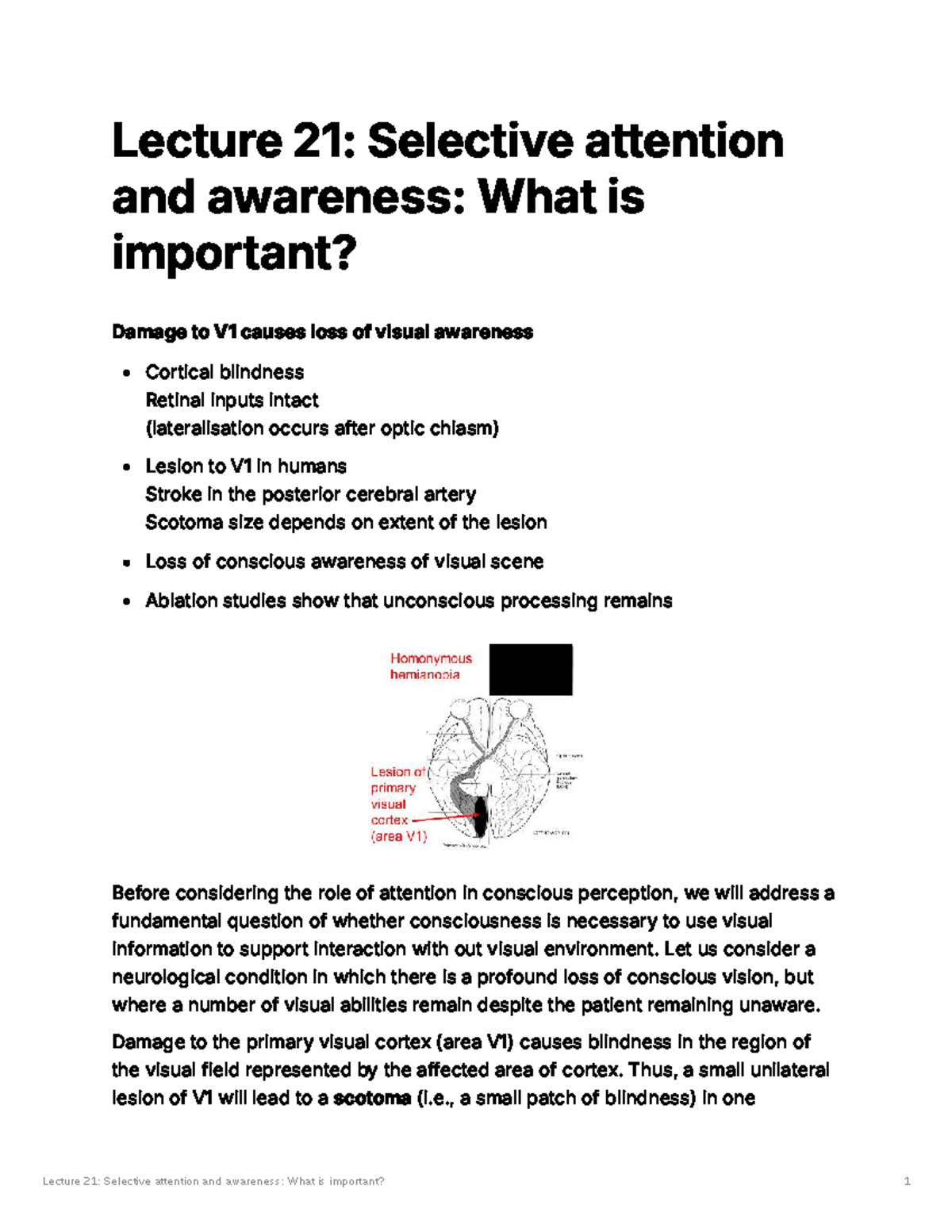 Lecture 21: Selective Attention & Awareness in Visual Processing - Studocu