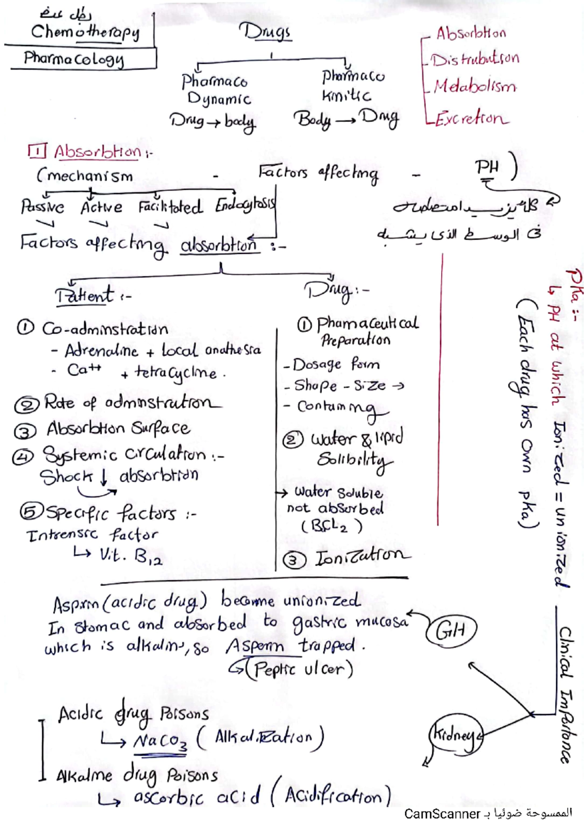 Pharmacokinetics: Comprehensive Notes on Drug Absorption & Metabolism ...