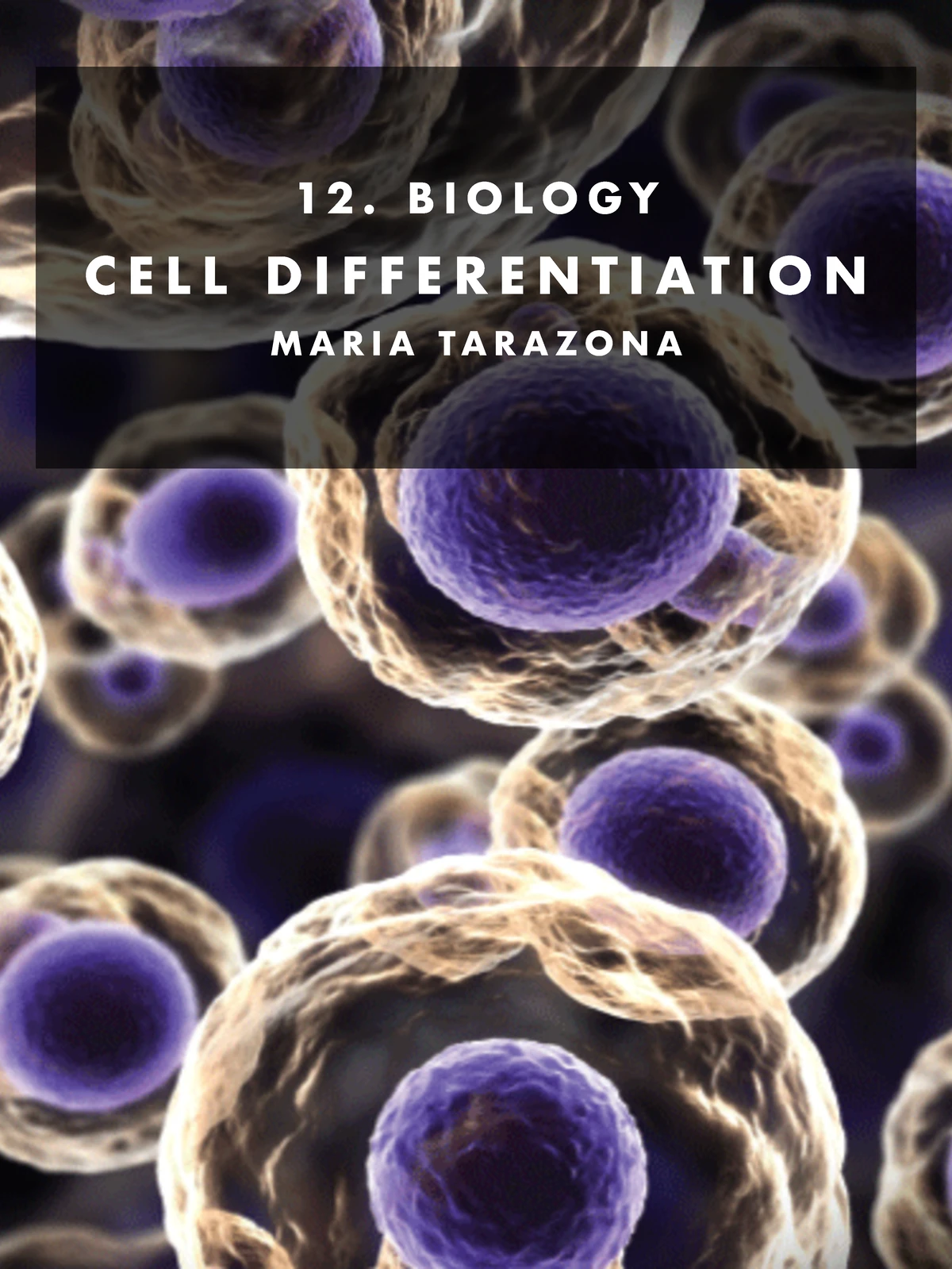 12. BIOLOGY: Cell Differentiation and Stem Cell Mechanisms - Studocu