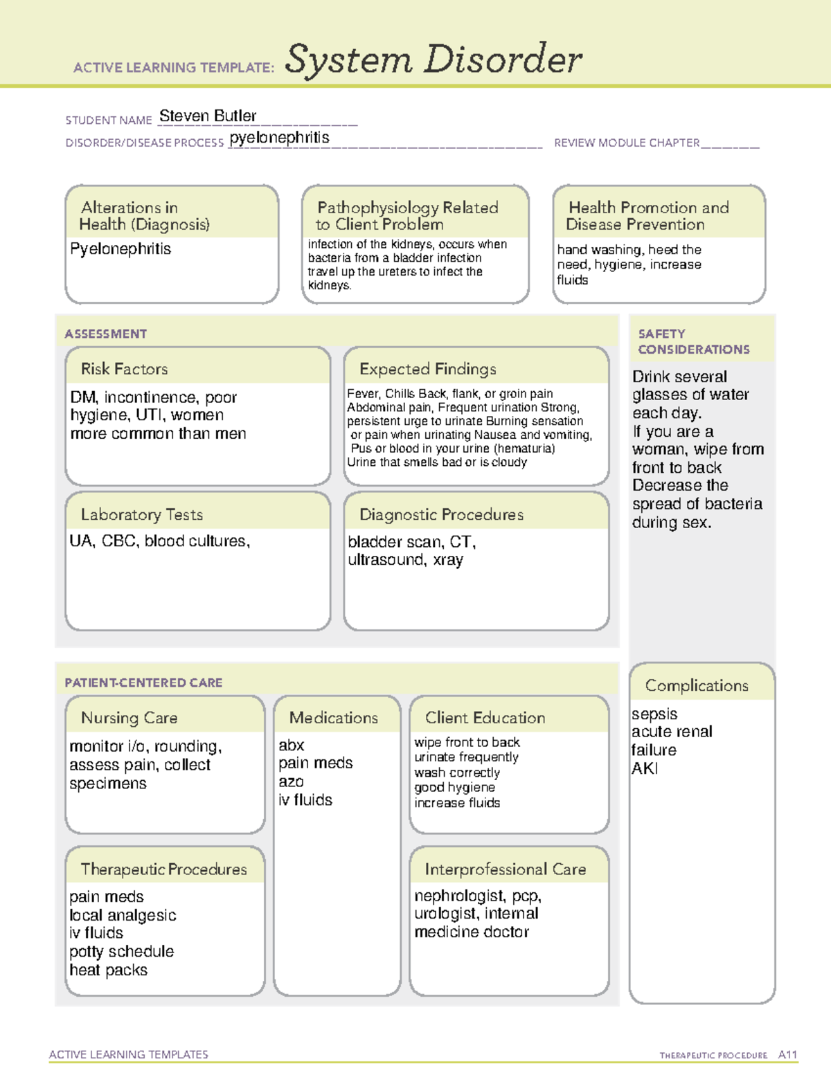 Pyelonephritis: A Comprehensive Review of Procedure & Disease Process ...