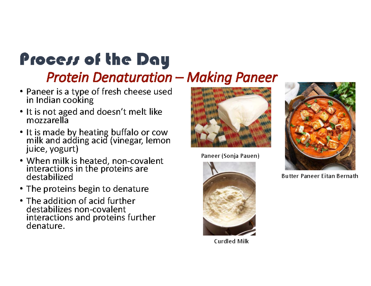 L7 - Protein Denaturation & Paneer Making Process - Studocu