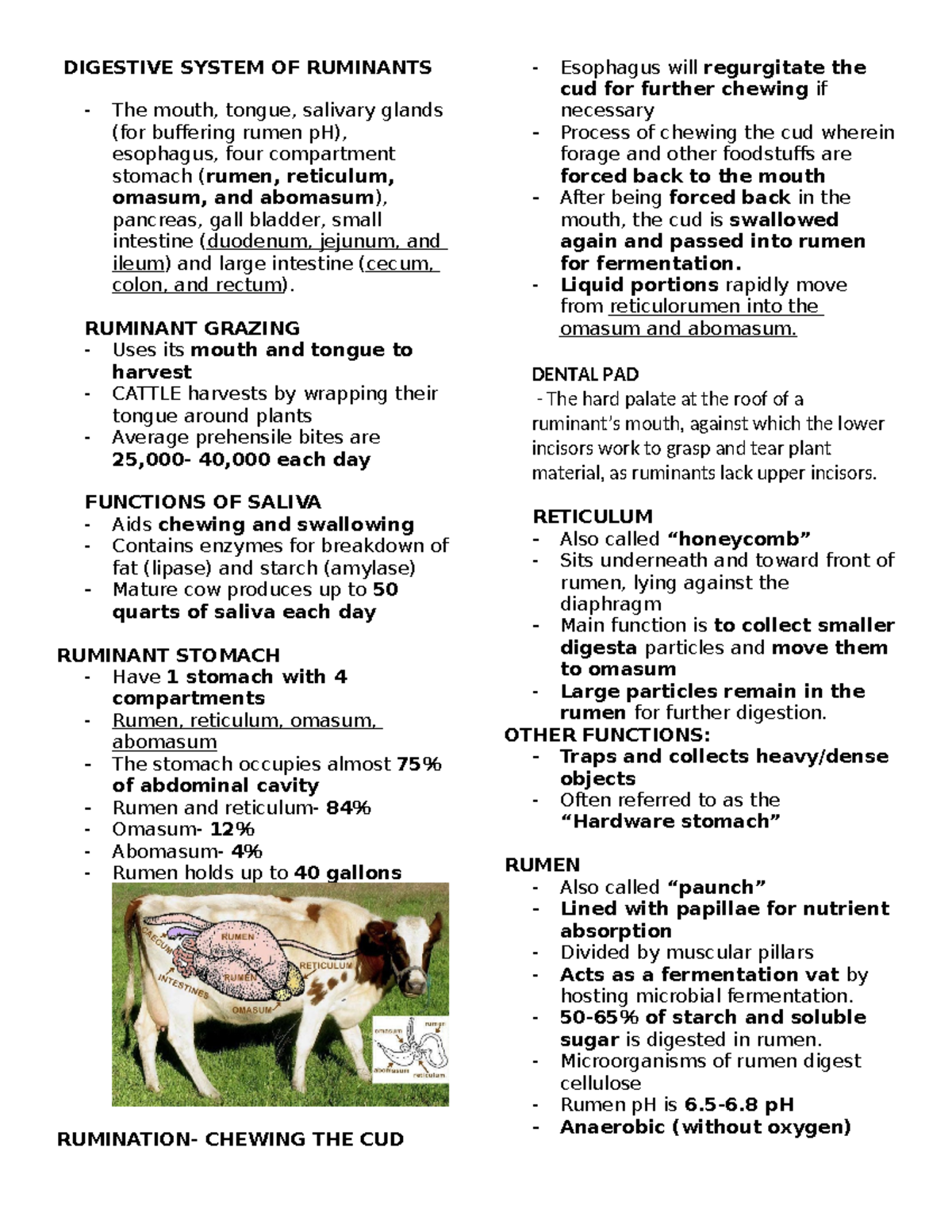 ANIMAL PROD 101: DIGESTIVE SYSTEM OF RUMINANTS OVERVIEW - Studocu
