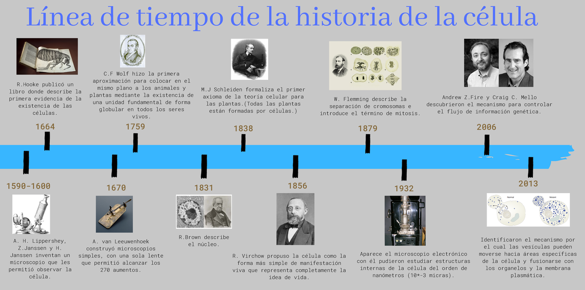 Línea de Tiempo: Historia de la Célula en Biología 2ºBACH A - Studocu