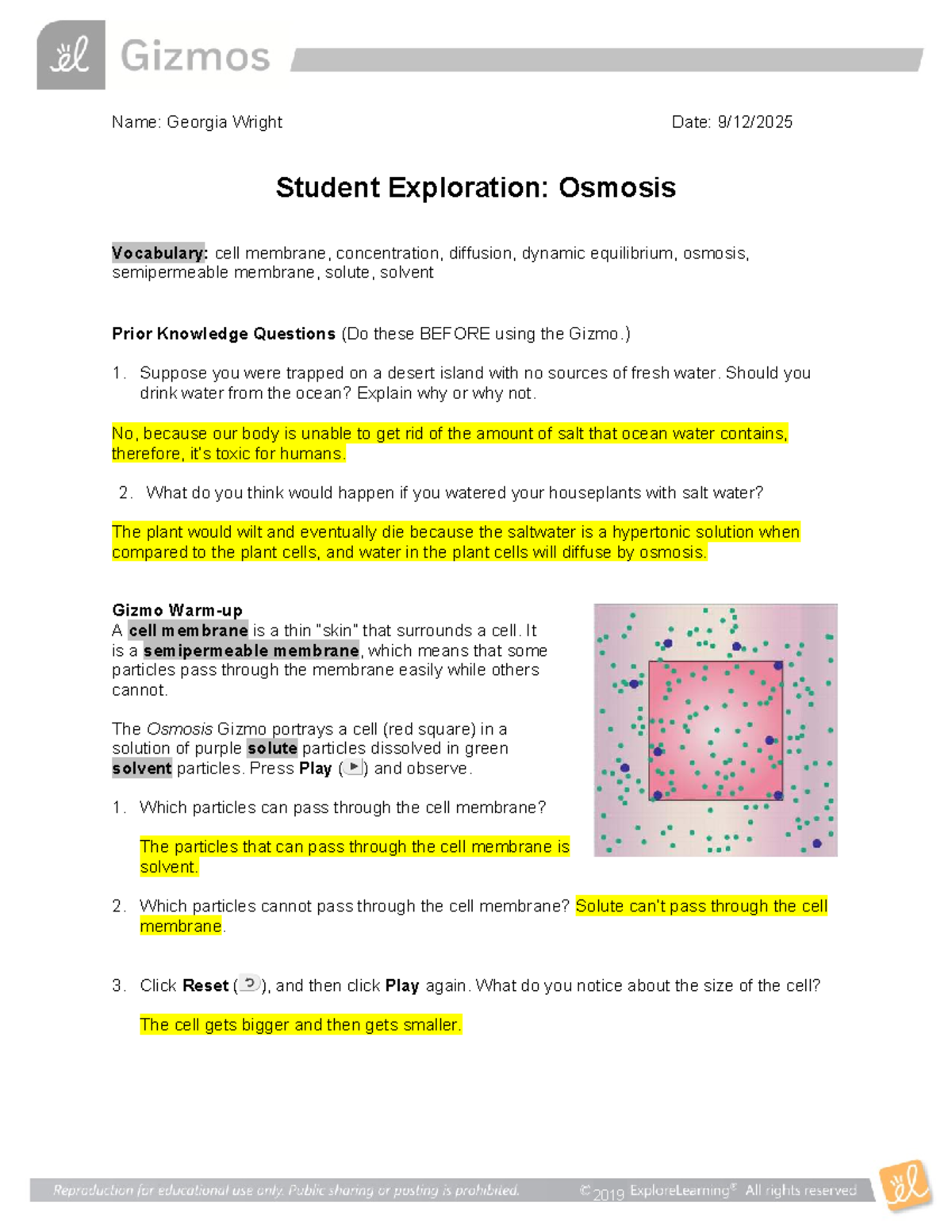 Osmosis SE Exploration: Understanding Cell Volume & Solute ...