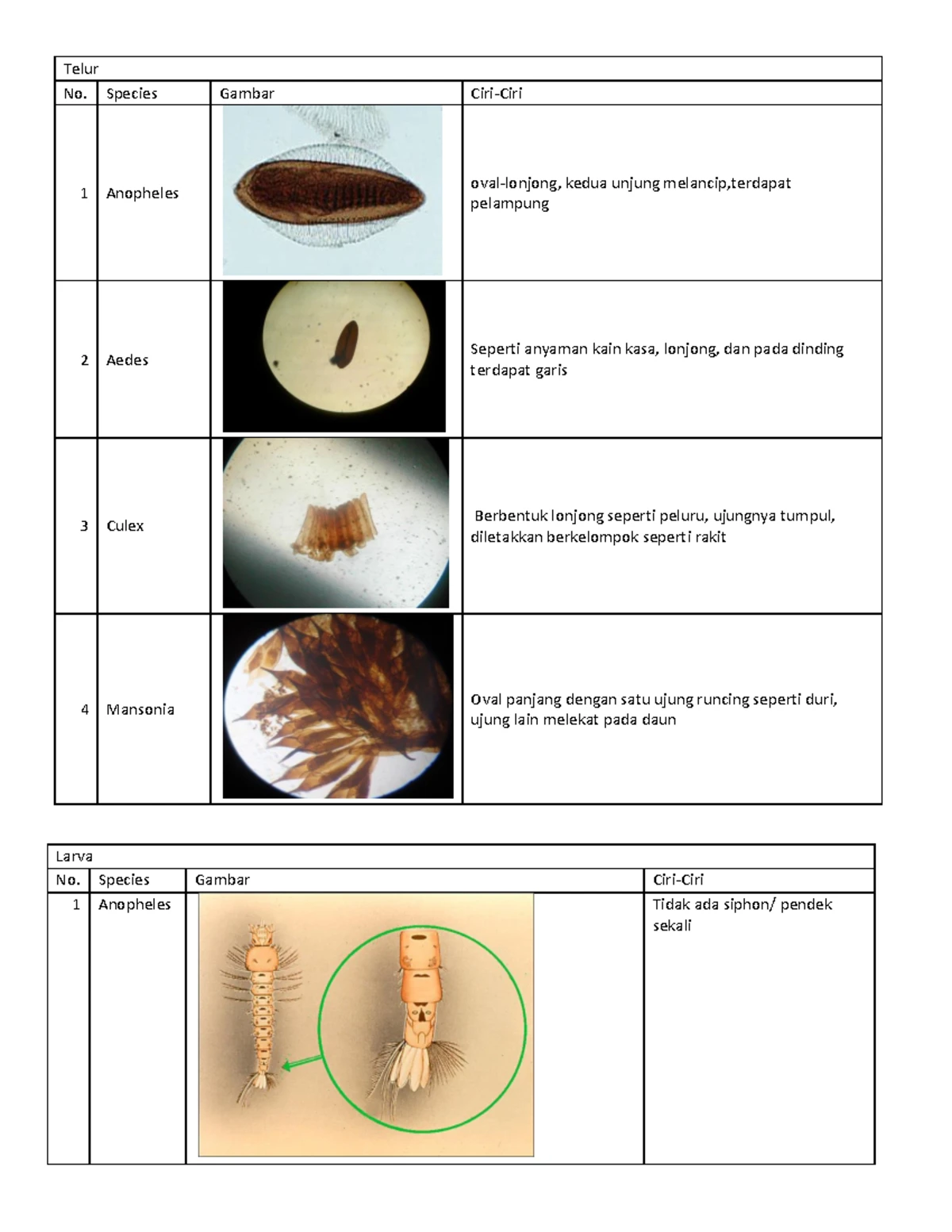 Erotik massajni qozgatuvchi video