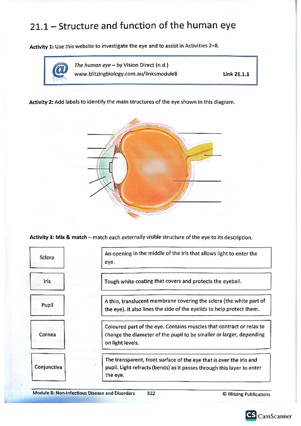 Nicholas Shi - Eye function and disorders - 21 Structure and function ...
