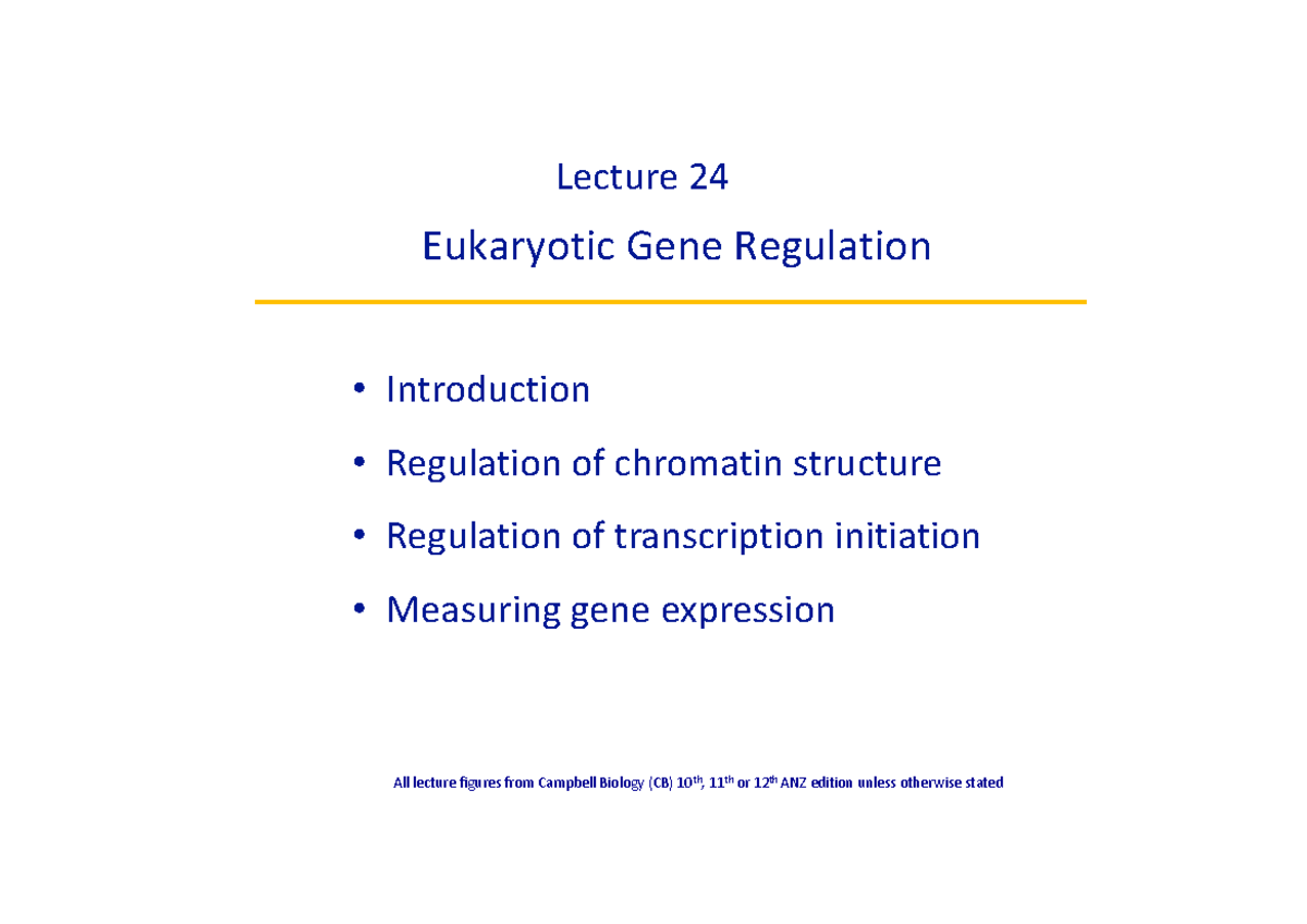 Lecture 24: Eukaryotic Gene Regulation - Studocu