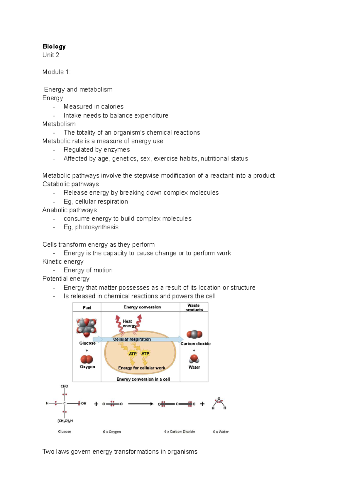 Biology Unit 2-2: Energy, Metabolism, and Photosynthesis Notes - Studocu
