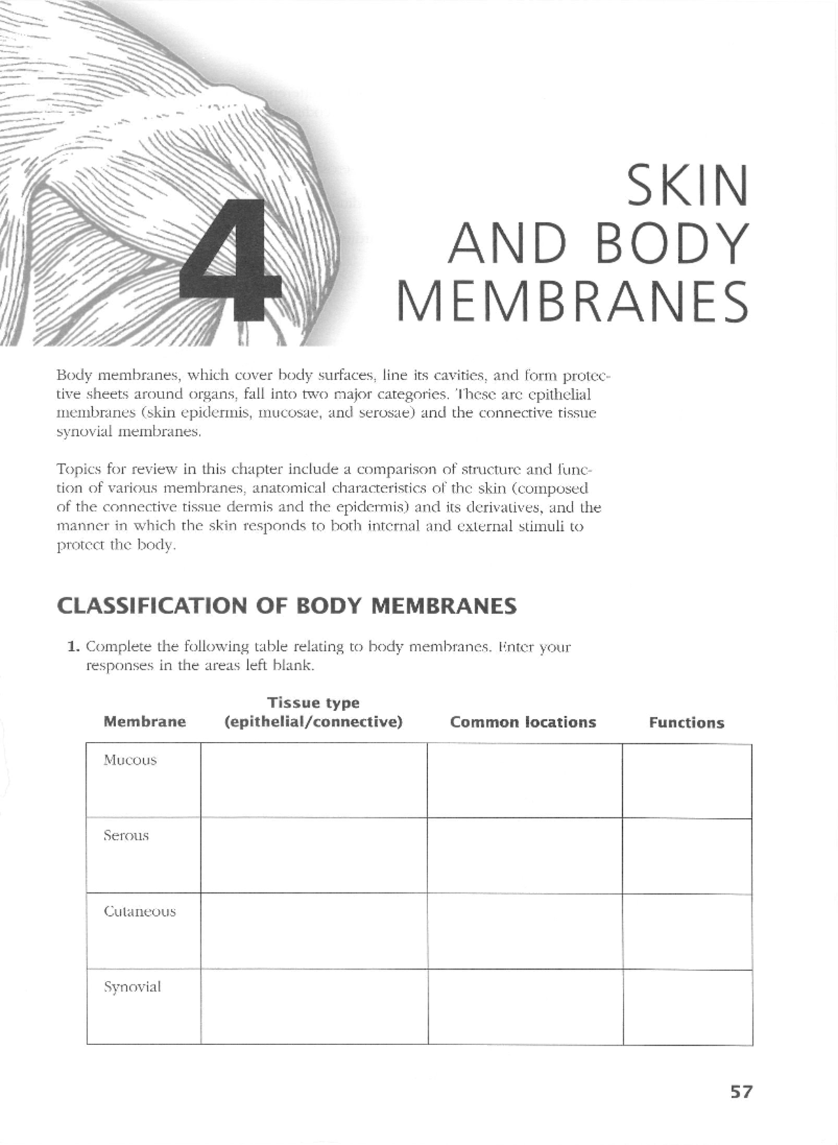 Chapter 4 Skin and Body Membranes Assignment Notes (BIO101) - Studocu