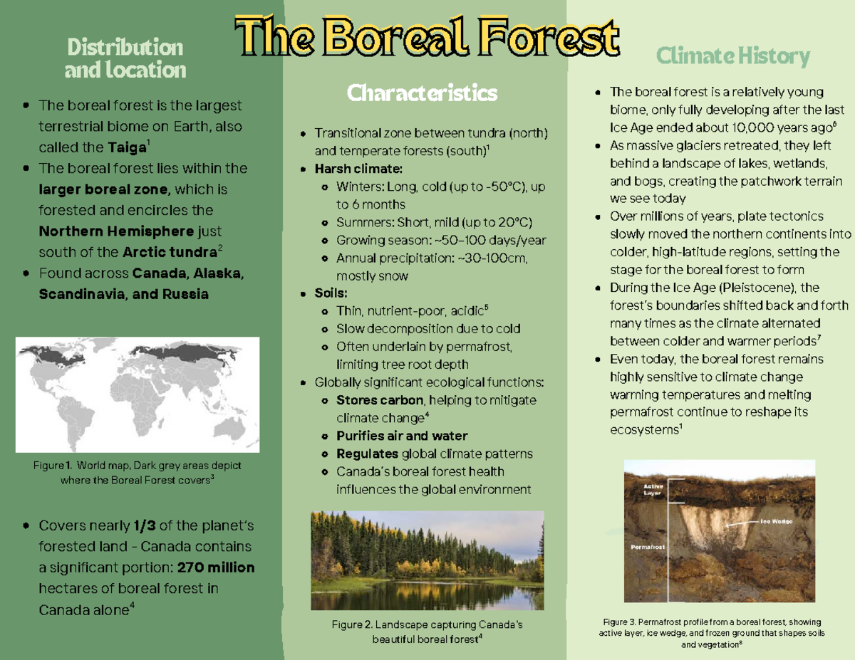 Boreal Forest Overview: Characteristics & Climate (Course Code: Acar 1 ...