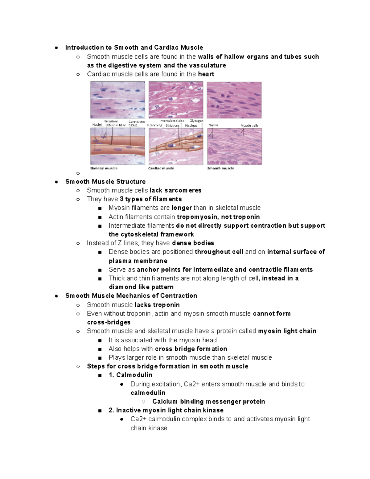Module 4 Sec 6: Overview of Smooth & Cardiac Muscle Physiology - Studocu