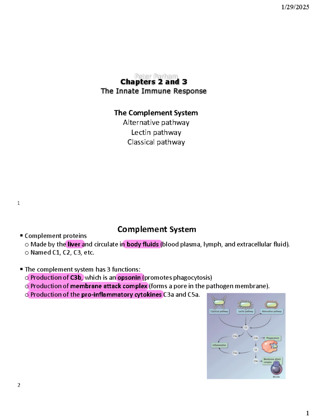 Complement System: Overview of Pathways and Immune Functions - Chapters ...