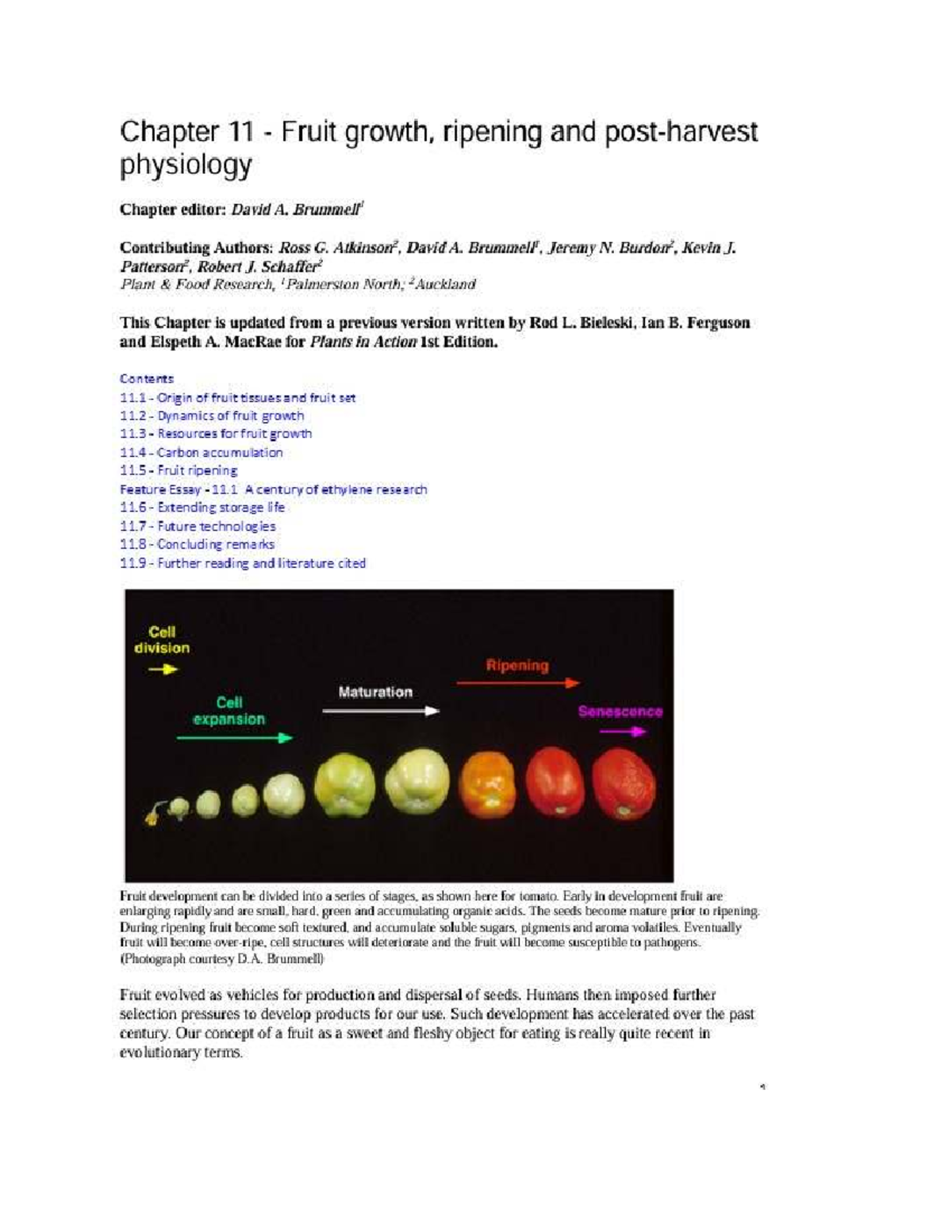 Chapter 11: Morphological Changes in Fruit & Vegetable Ripening and ...