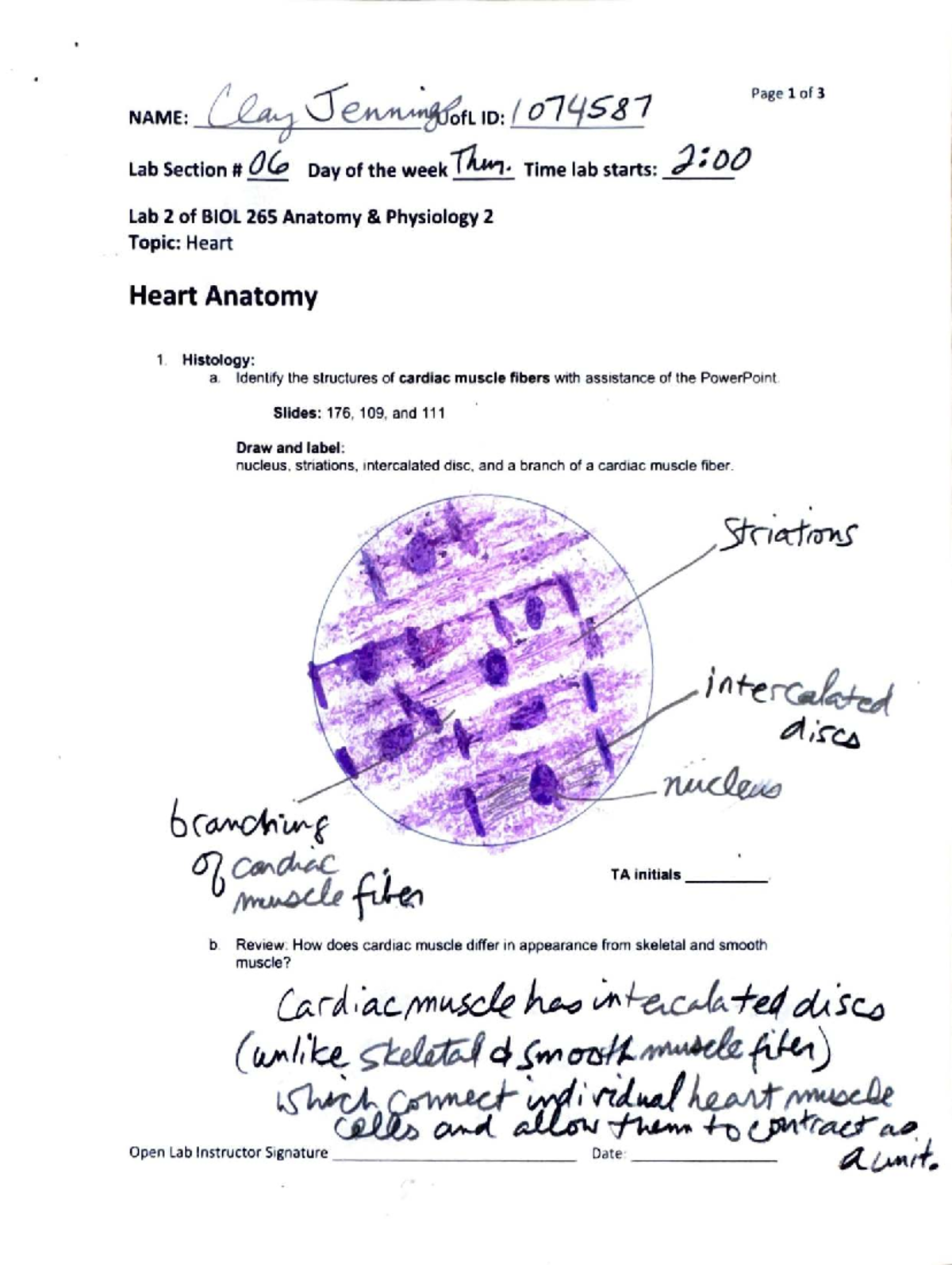 BIOL 265 - Lab 2 Data Form: Heart Anatomy & Physiology II - Studocu