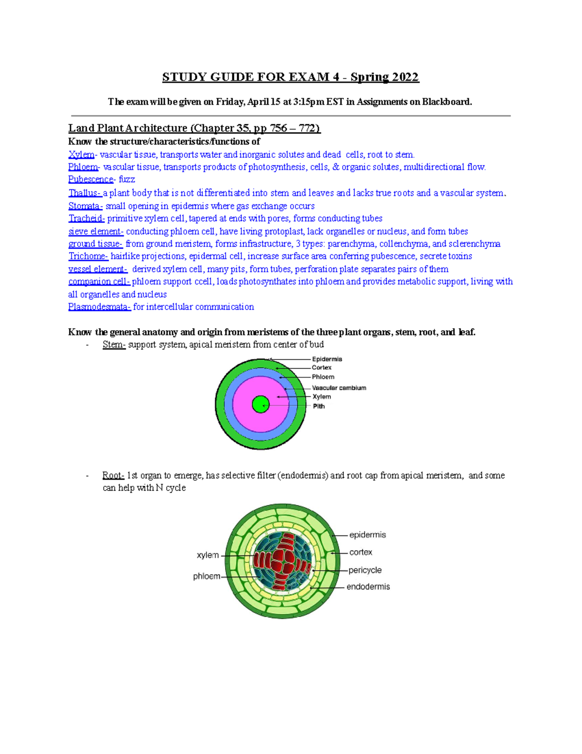 Evo Bio Exam 4 Study Guide - Spring 2022 Review Notes - Studocu