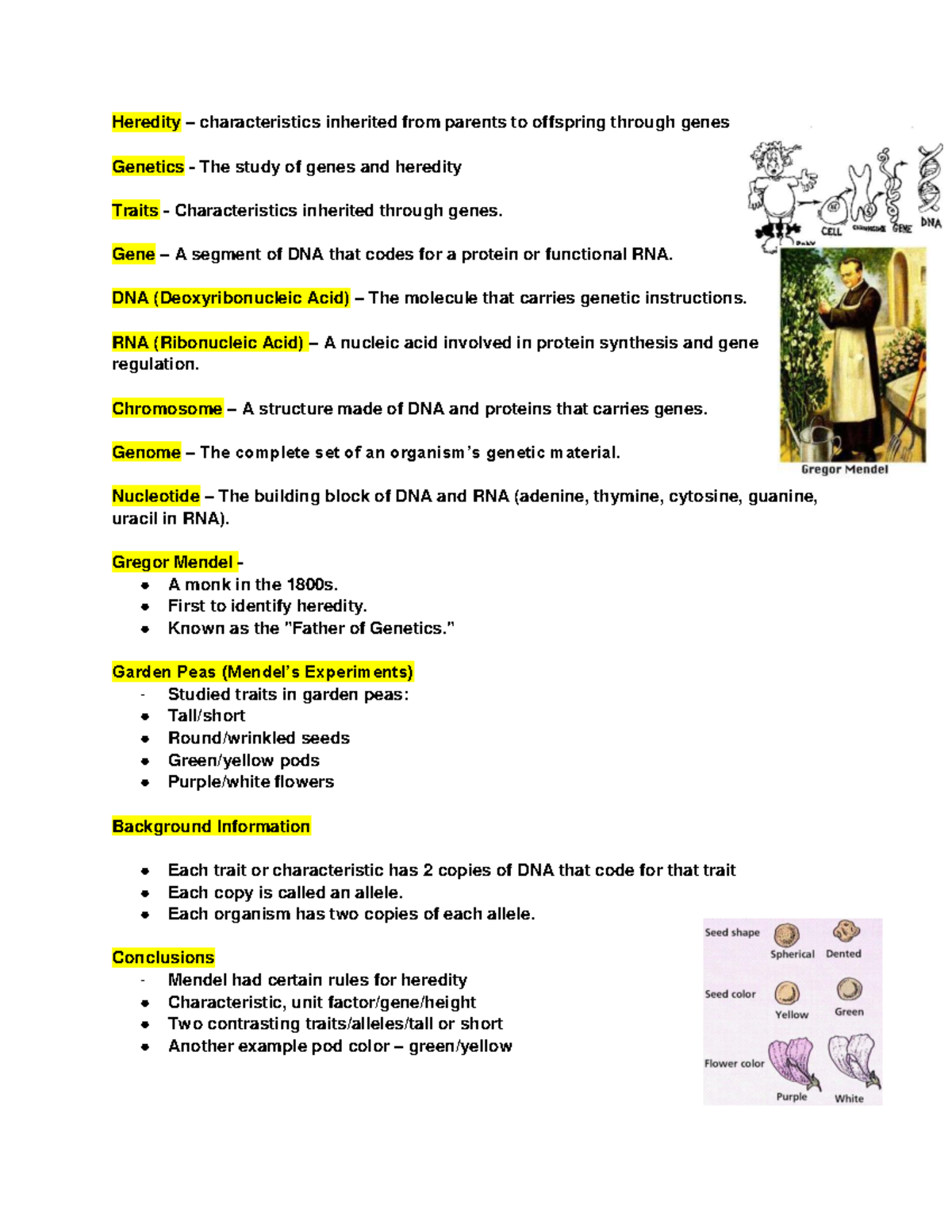 Heredity and Genetics: Key Concepts for Understanding Traits and Genes ...
