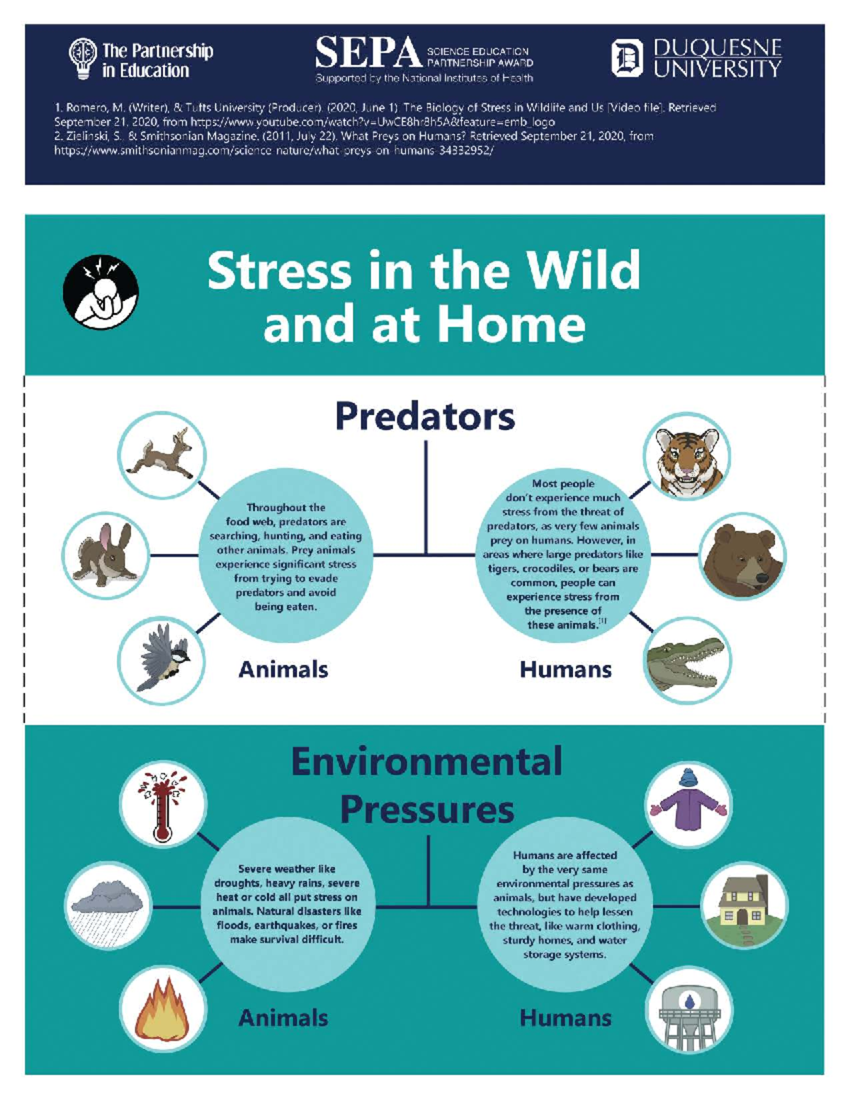 Stress in the Wild and at Home: A Study on Predators and Humans - Studocu
