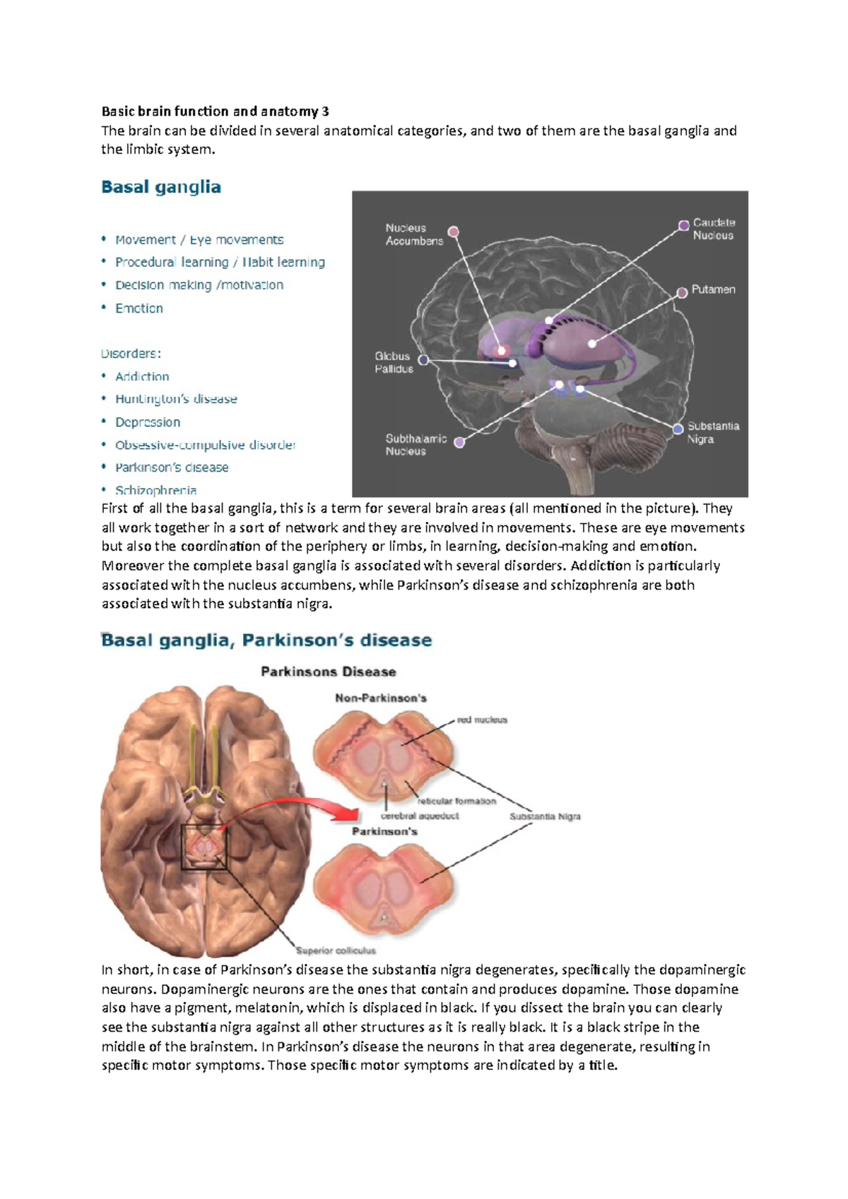 Brain Function & Anatomy Overview: Basal Ganglia & Limbic System 3 ...