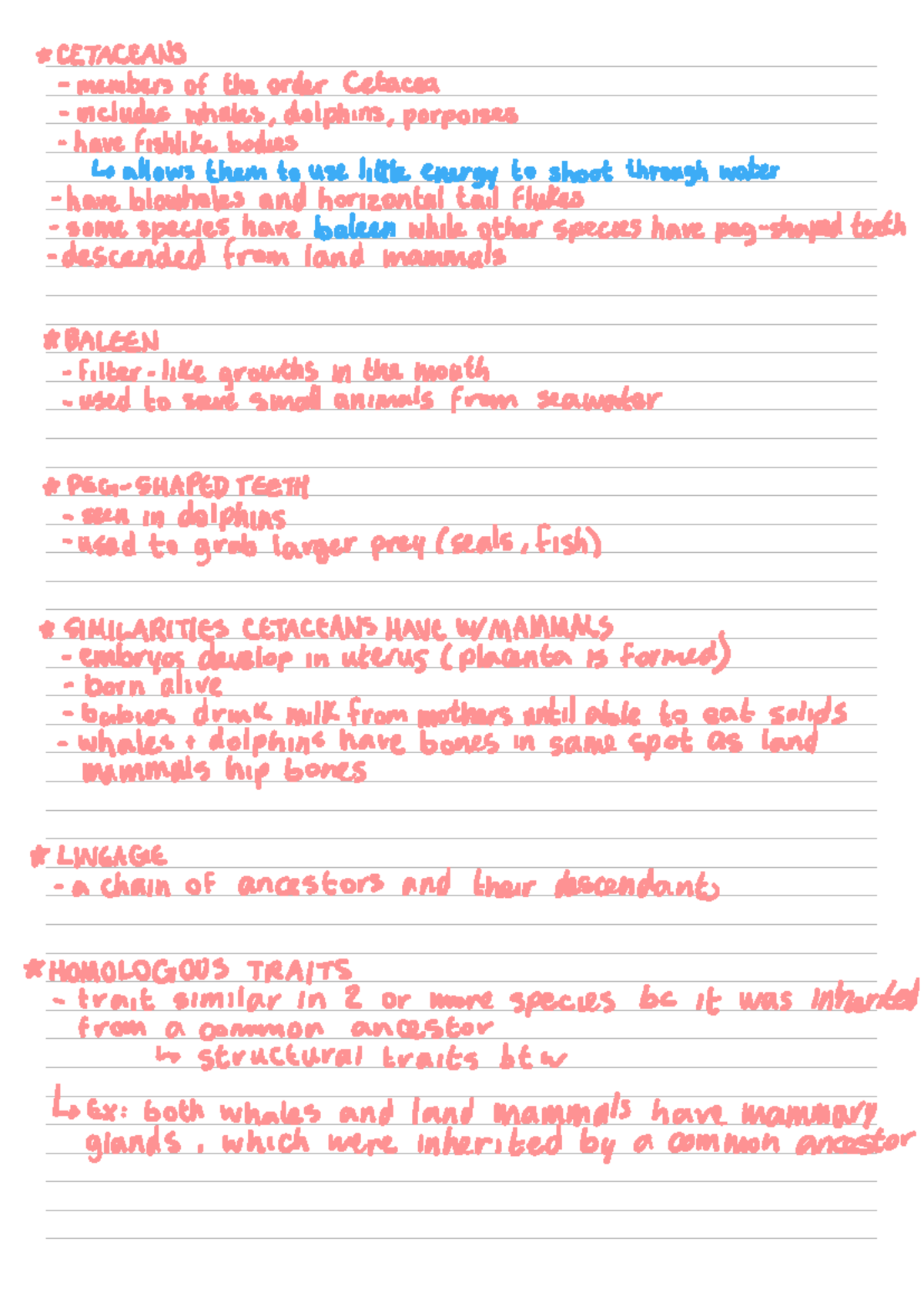 CETACEANS: Evolution, Morphology, and Traits - Chapter 1 Notes - Studocu
