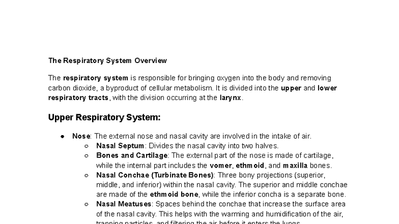 Refined Respiratory Notes - The Respiratory System Overview The ...