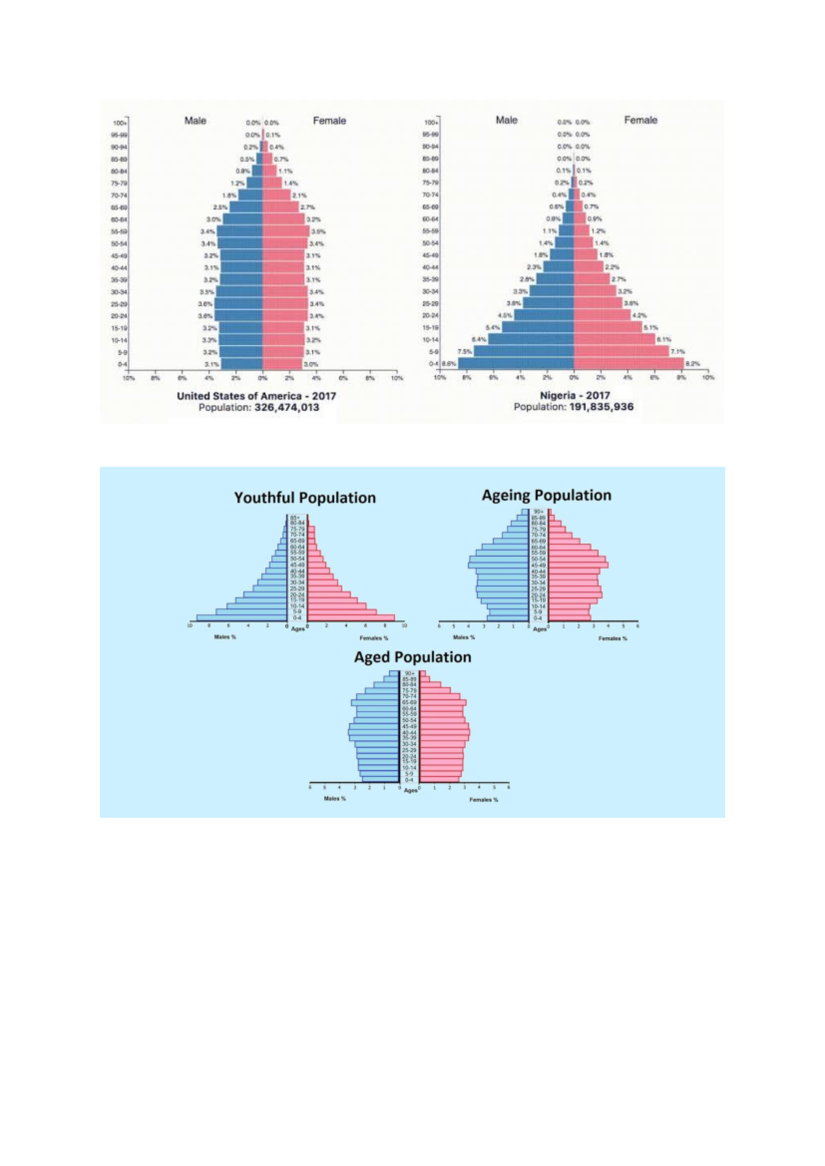 Population Pyramids: Understanding Demographics and Structure - Studocu