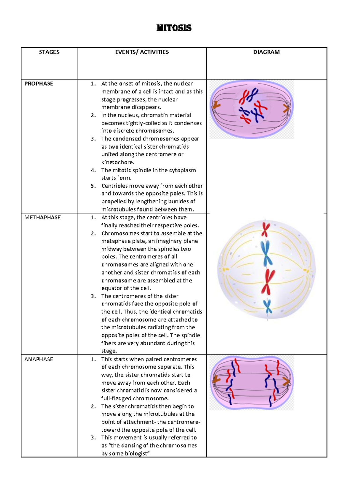 Cell Division: The Stages of Mitosis PMAT MITOSIS STAGES EVENTS
