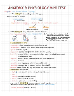 Anatomical Terms - Lecture Notes for Understanding Body Structure - Studocu