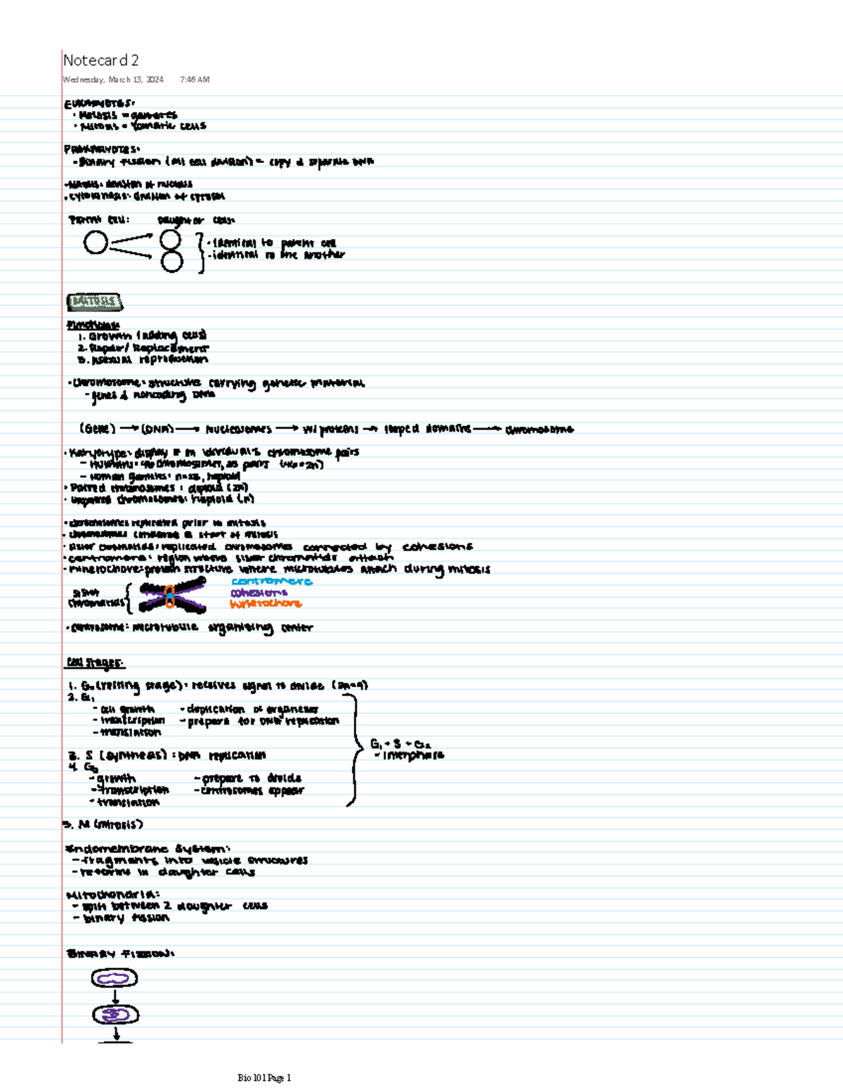 Bio Notes for Exam 2 - BIOLOGY/ ZOOLOGY 101 - Notecard 2 Wednesday ...