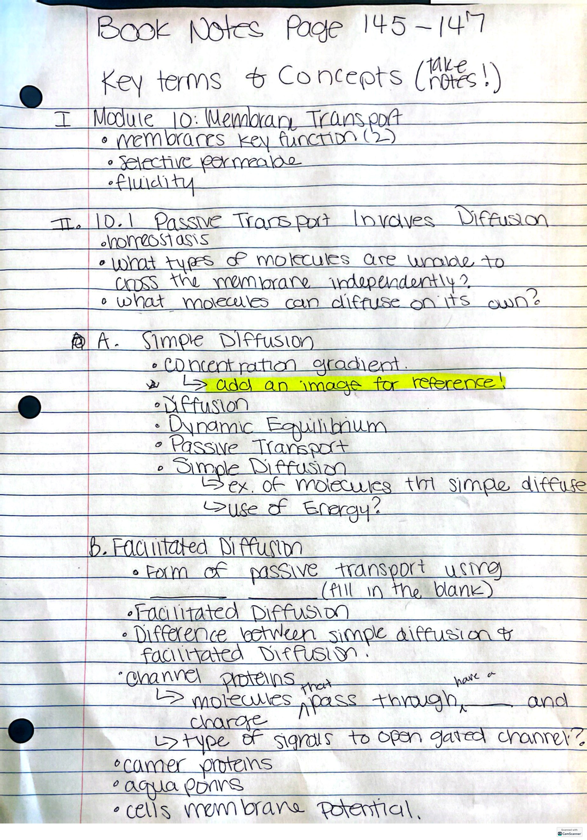 10.2 Reading and Key Terms: Key Concepts Overview - Book Notes Page 145 ...