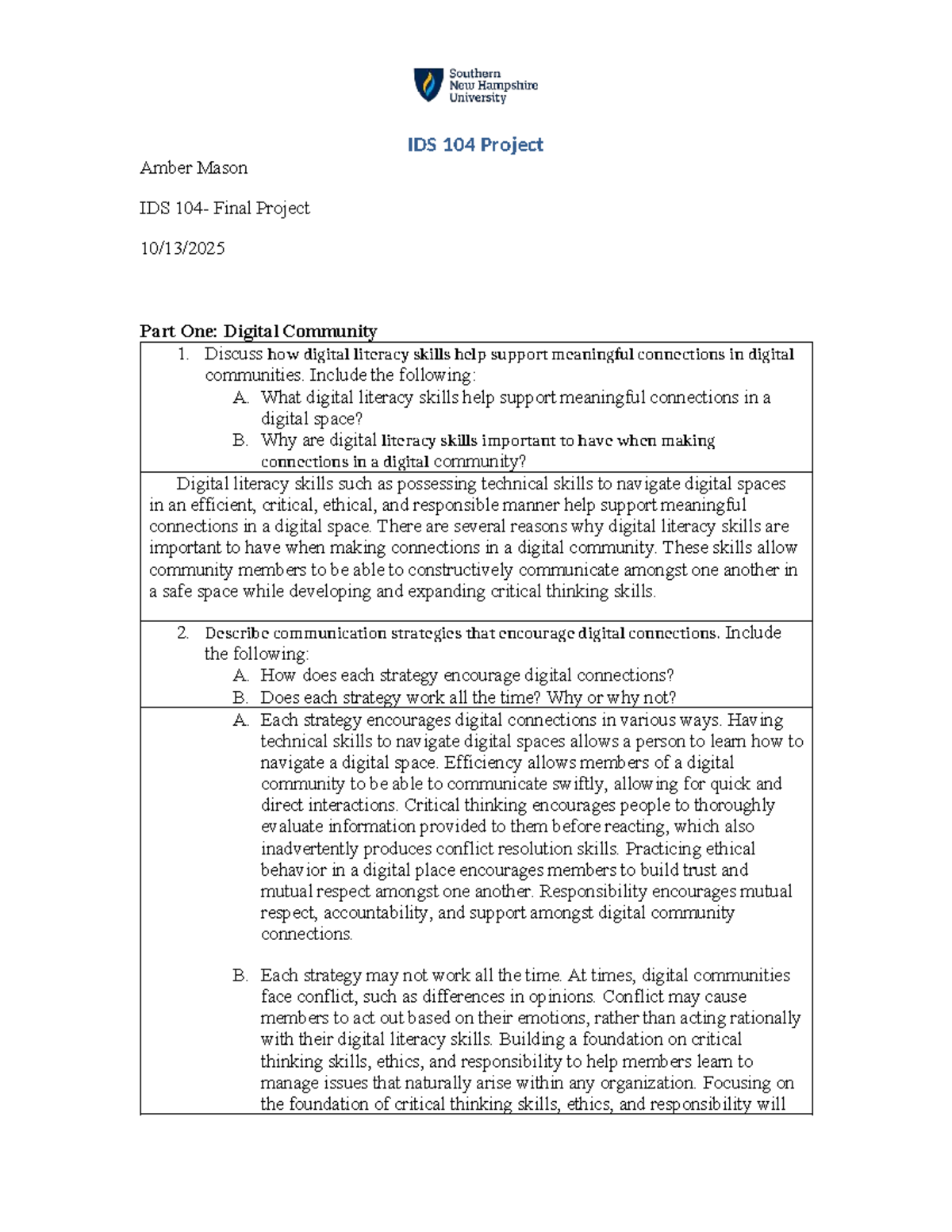 IDS 104 Final Project: Enhancing Digital Community Connections - Studocu