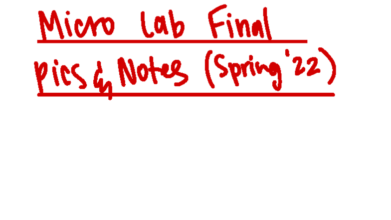 Micro Lab Final Exam Notes (Spring 2022): Environmental Effects on ...