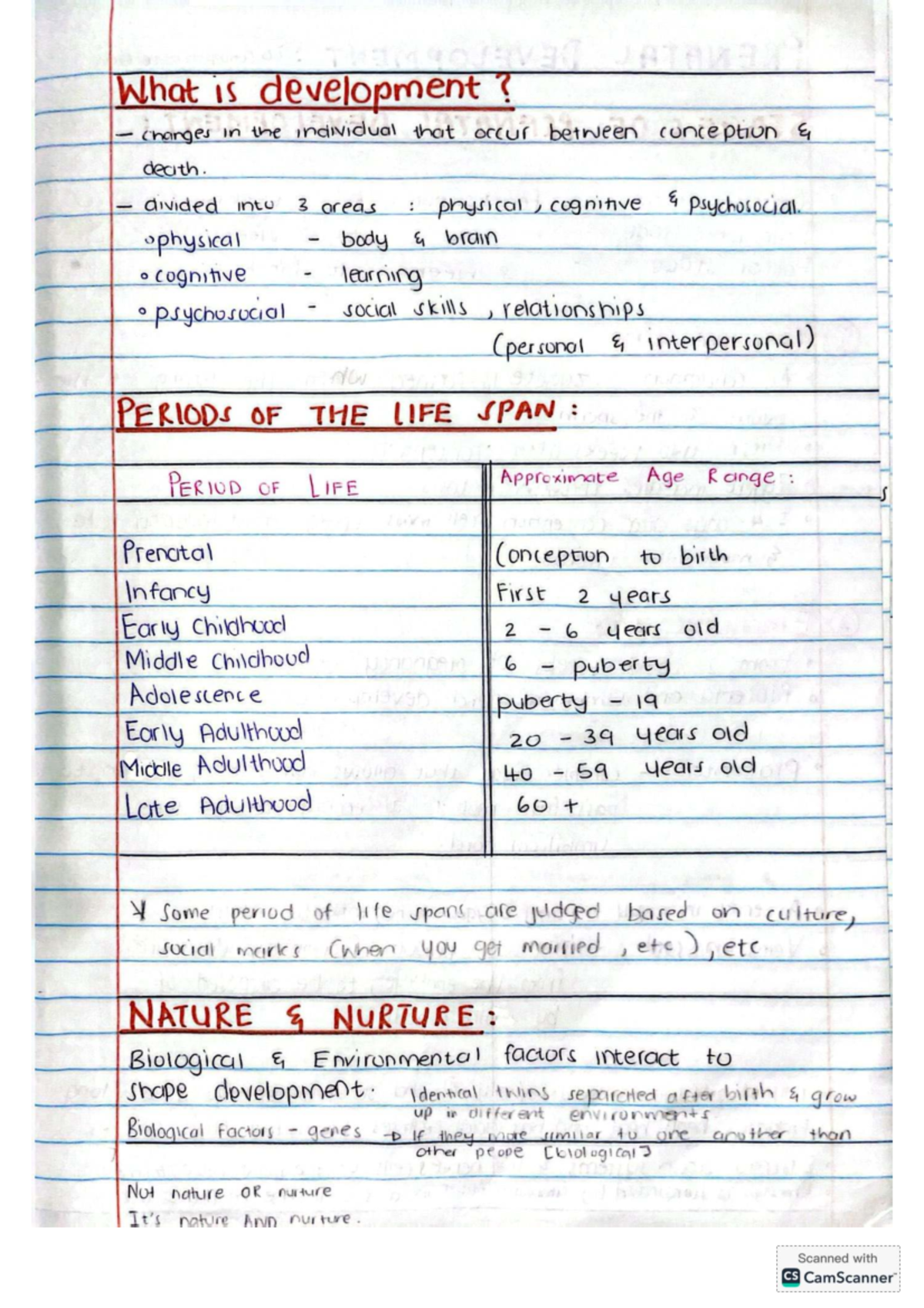 Developmental Psychology Notes: Key Concepts from Conception to ...