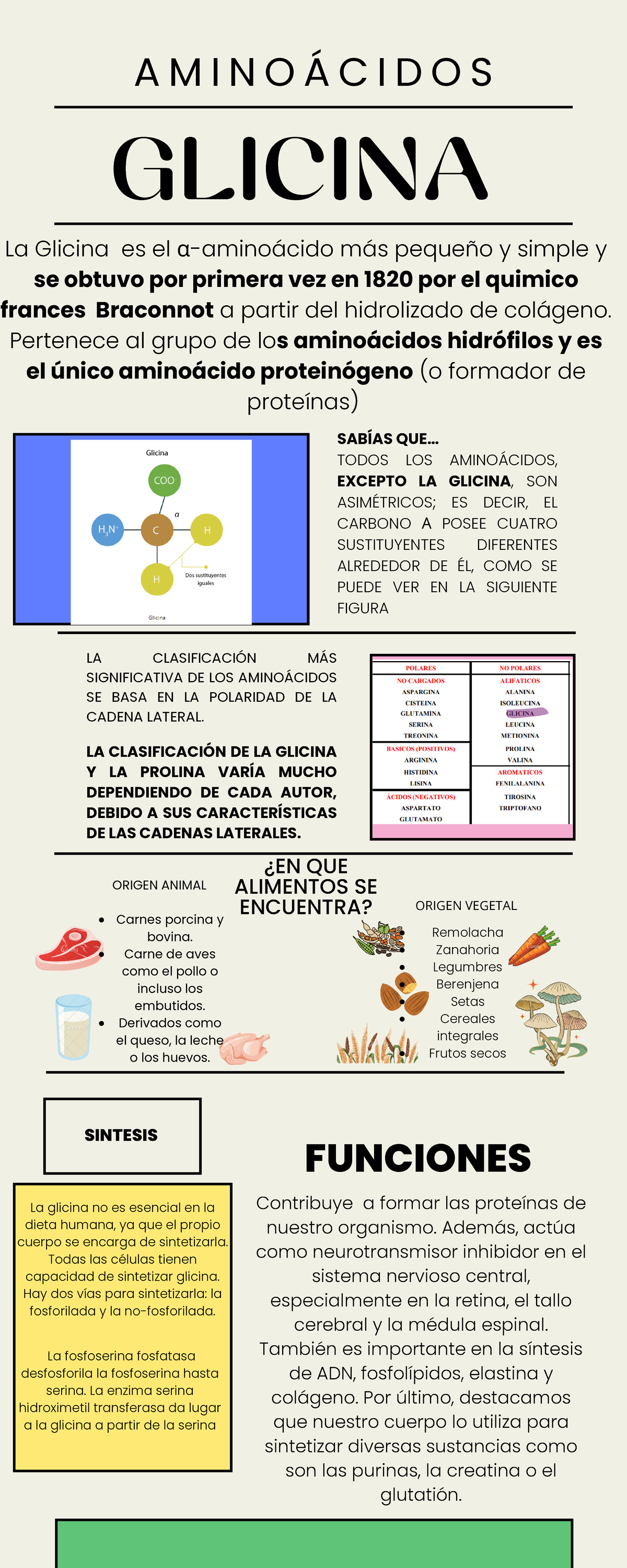 La Glicina Es Un Componente Básico De La Vida
