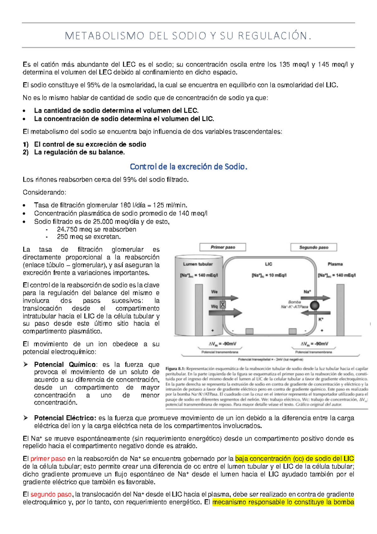 METABOLISMO DEL SODIO Y SU REGULACIÓN: ANÁLISIS DETALLADO - Studocu