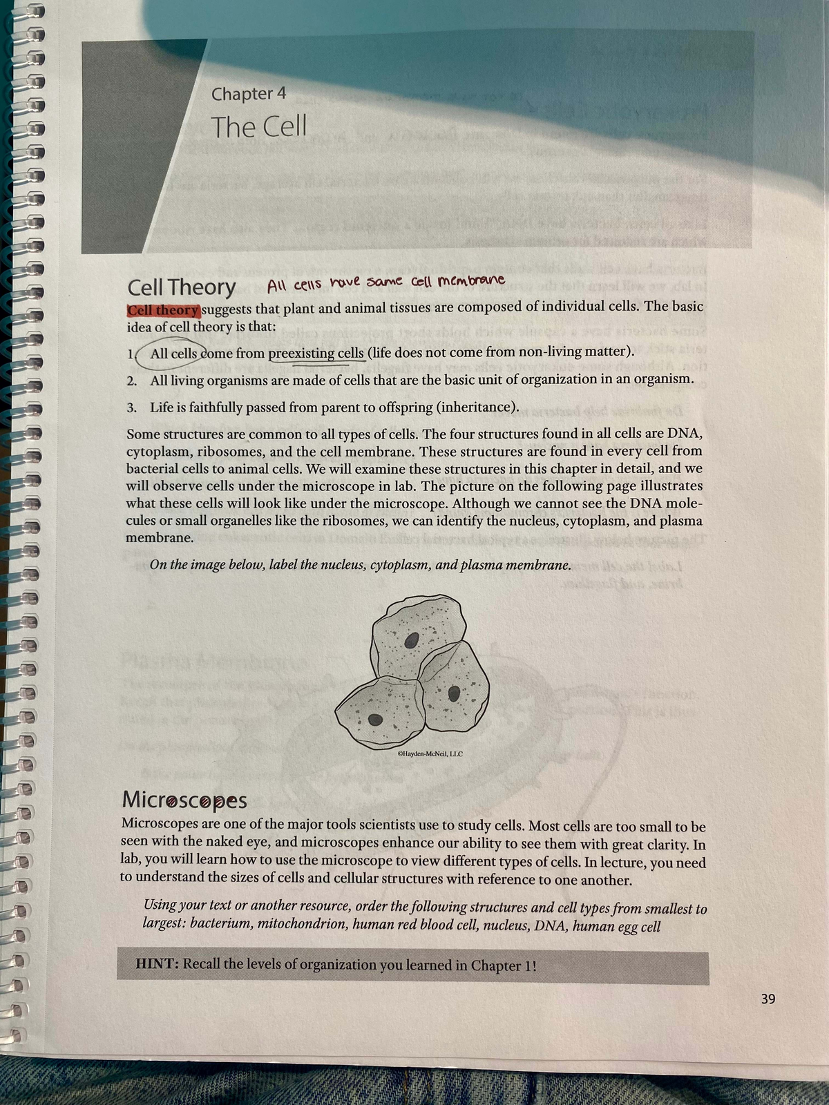 Chapter 4: The Cell - Understanding Cell Theory and Structures - Studocu
