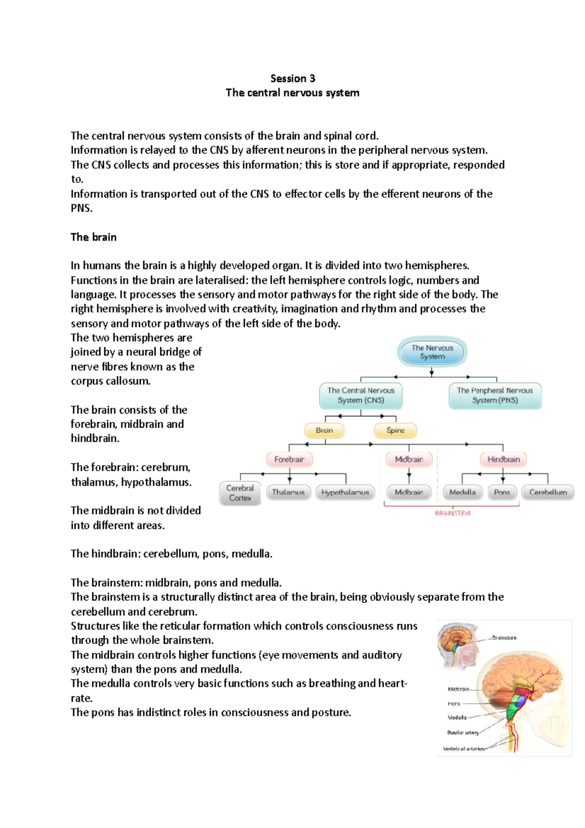 Session 3 - Lecture notes 3 - Session 3 The central nervous system The ...
