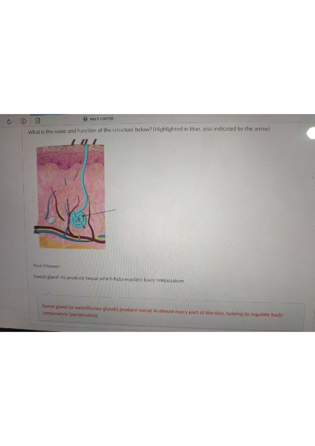Module 7 Exam AP1: Skin Structure and Burn Degrees Analysis - Studocu