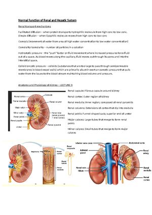 Significant figures, units, molar and salt correction - SIGNIFICANT ...