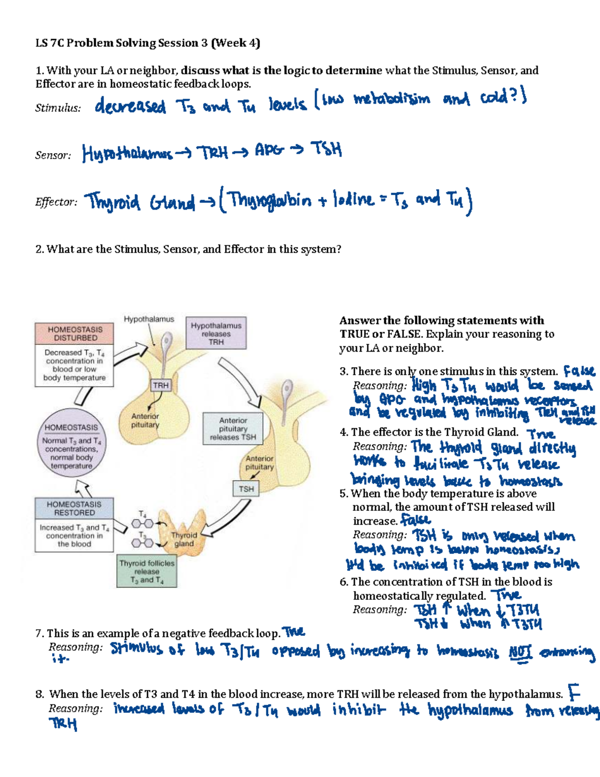 LS 7C Problem Solving Session 3: Homeostatic Feedback Loops Analysis ...
