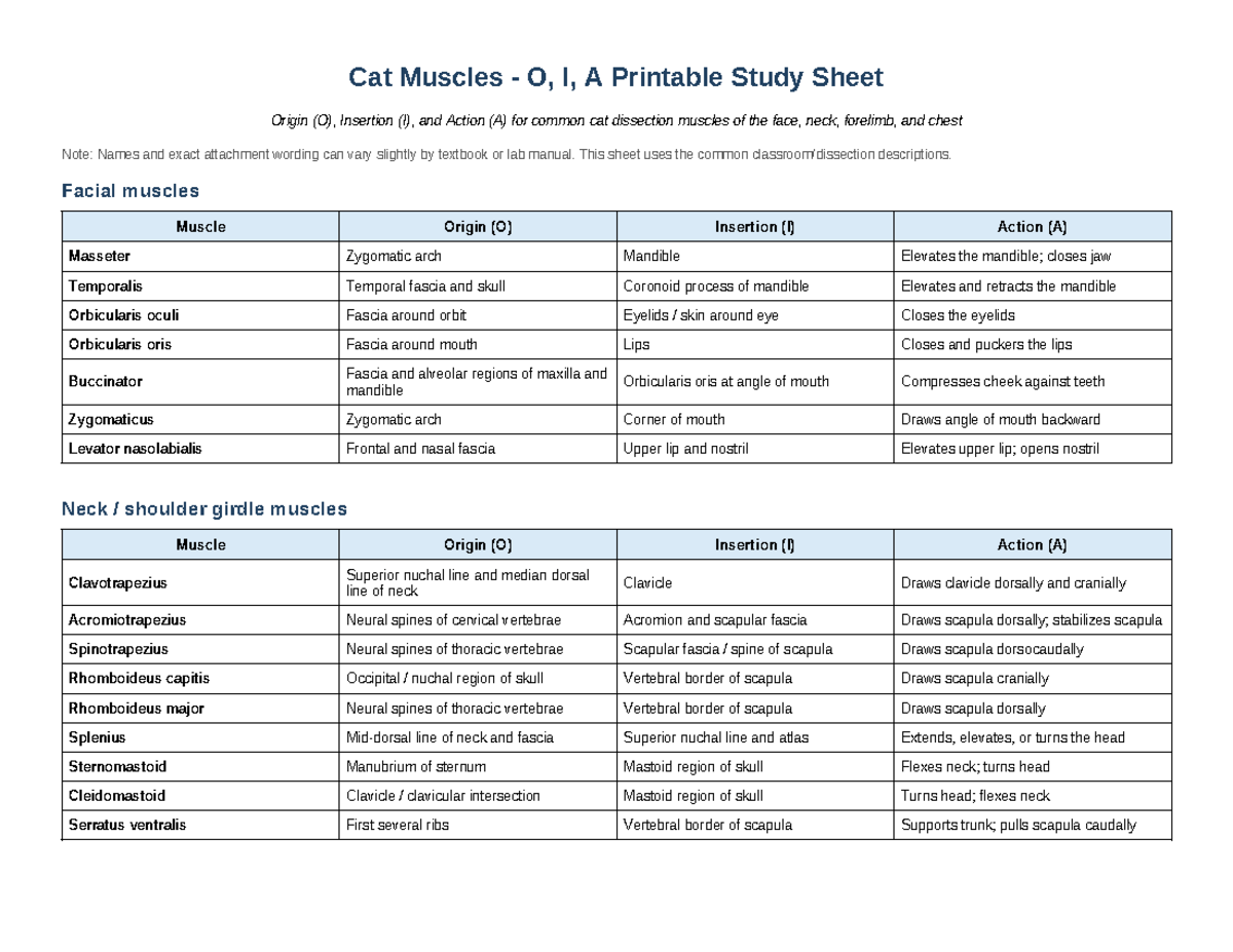 Cat Muscles O, I, A Study Sheet for Dissection - Studocu