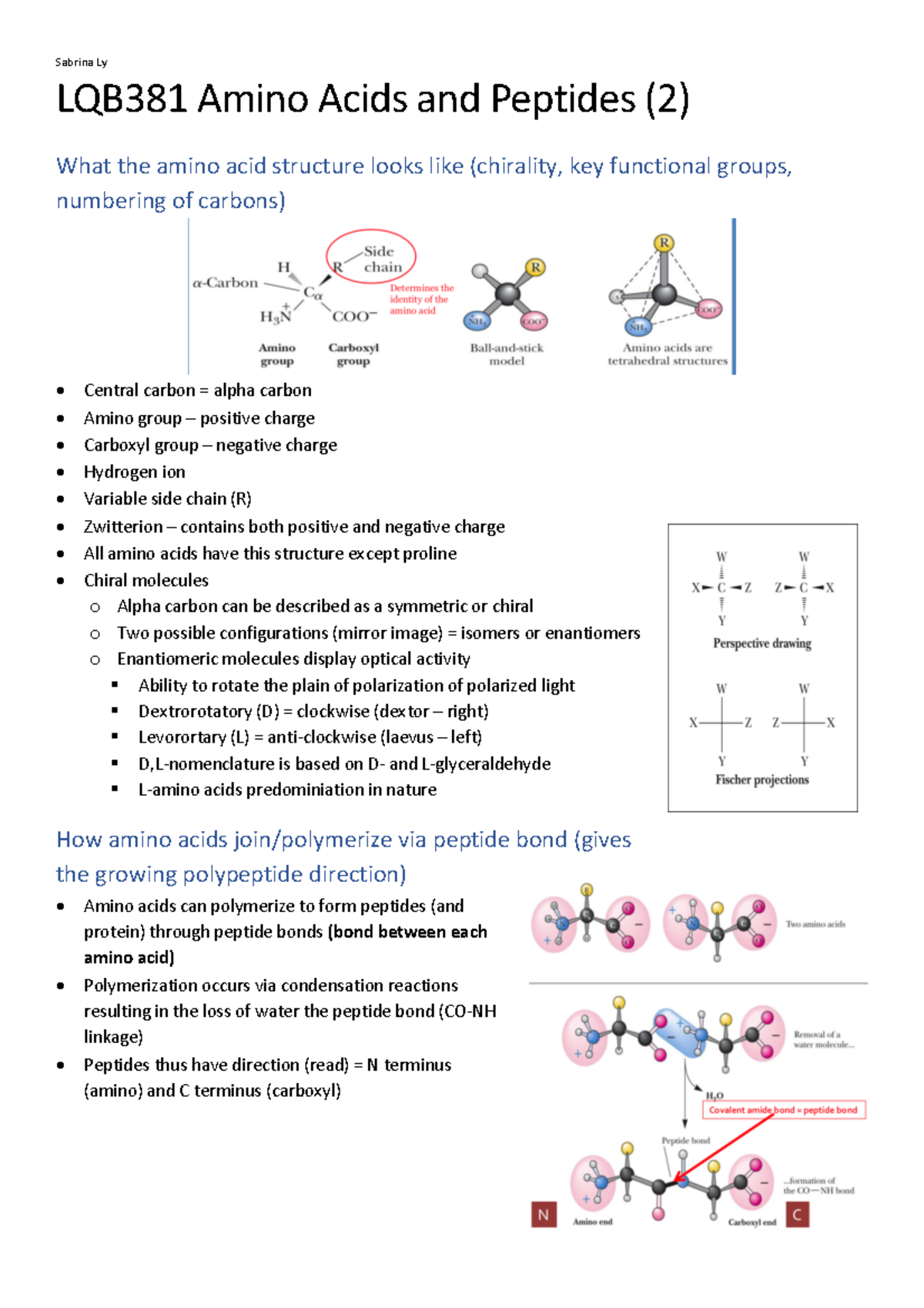 LQB381 Final Exam Study Notes on Amino Acids and Peptides - Studocu