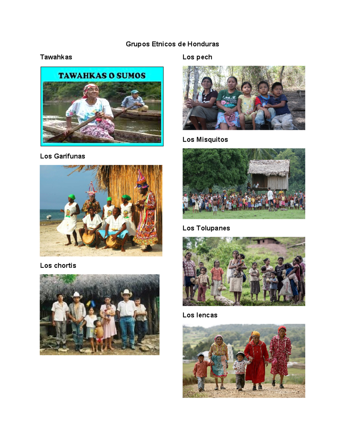 Grupos Étnicos de Honduras: Tawahkas, Garífuna, Misquitos, Tolupanes y Lenca - Document Preview